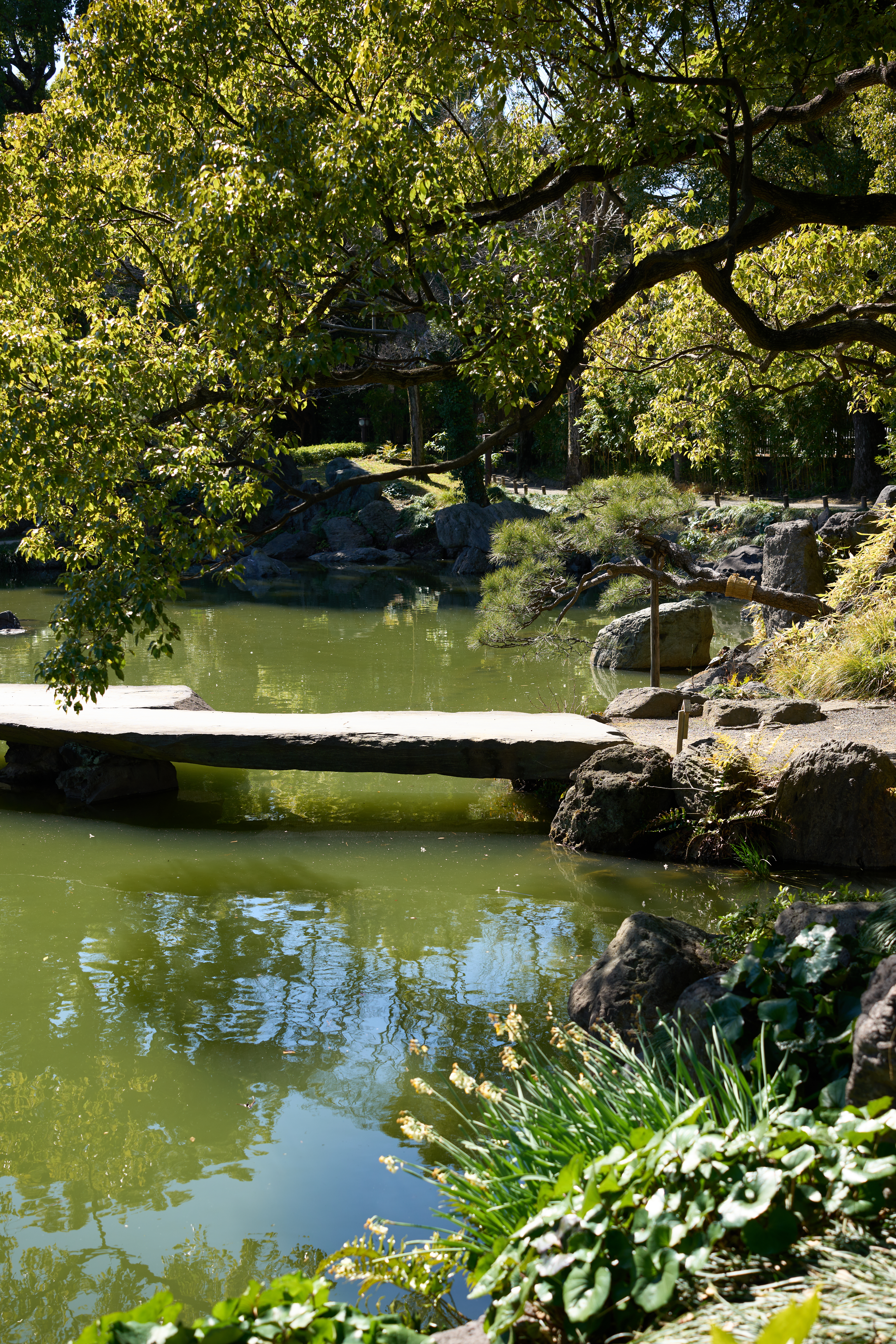 α1／50mm F1.4 DG DN｜Art／50mm／マニュアル（F4.0、1/500秒）／ISO 100／WB：太陽光