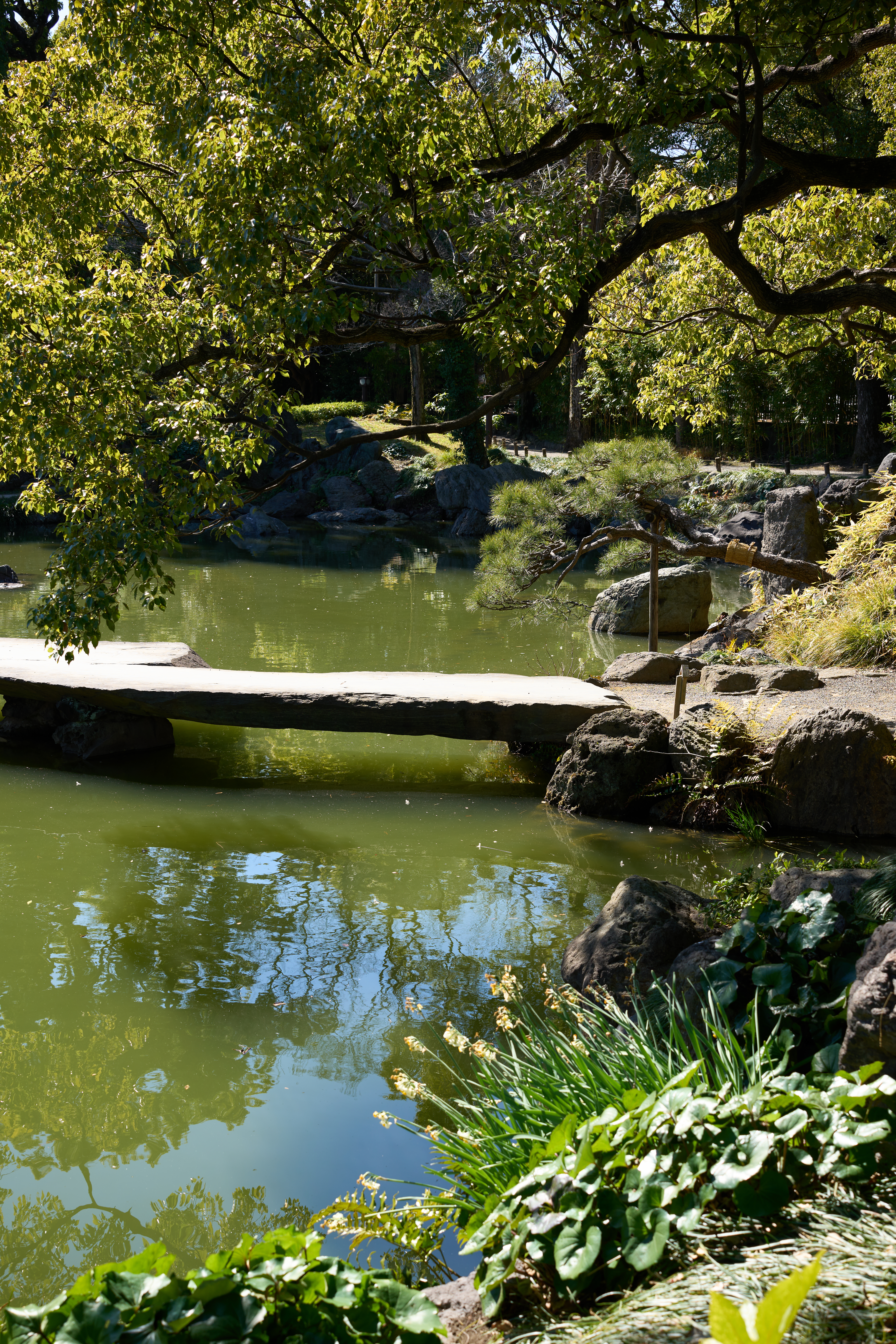 α1／50mm F1.4 DG DN｜Art／50mm／マニュアル（F5.6、1/250秒）／ISO 100／WB：太陽光