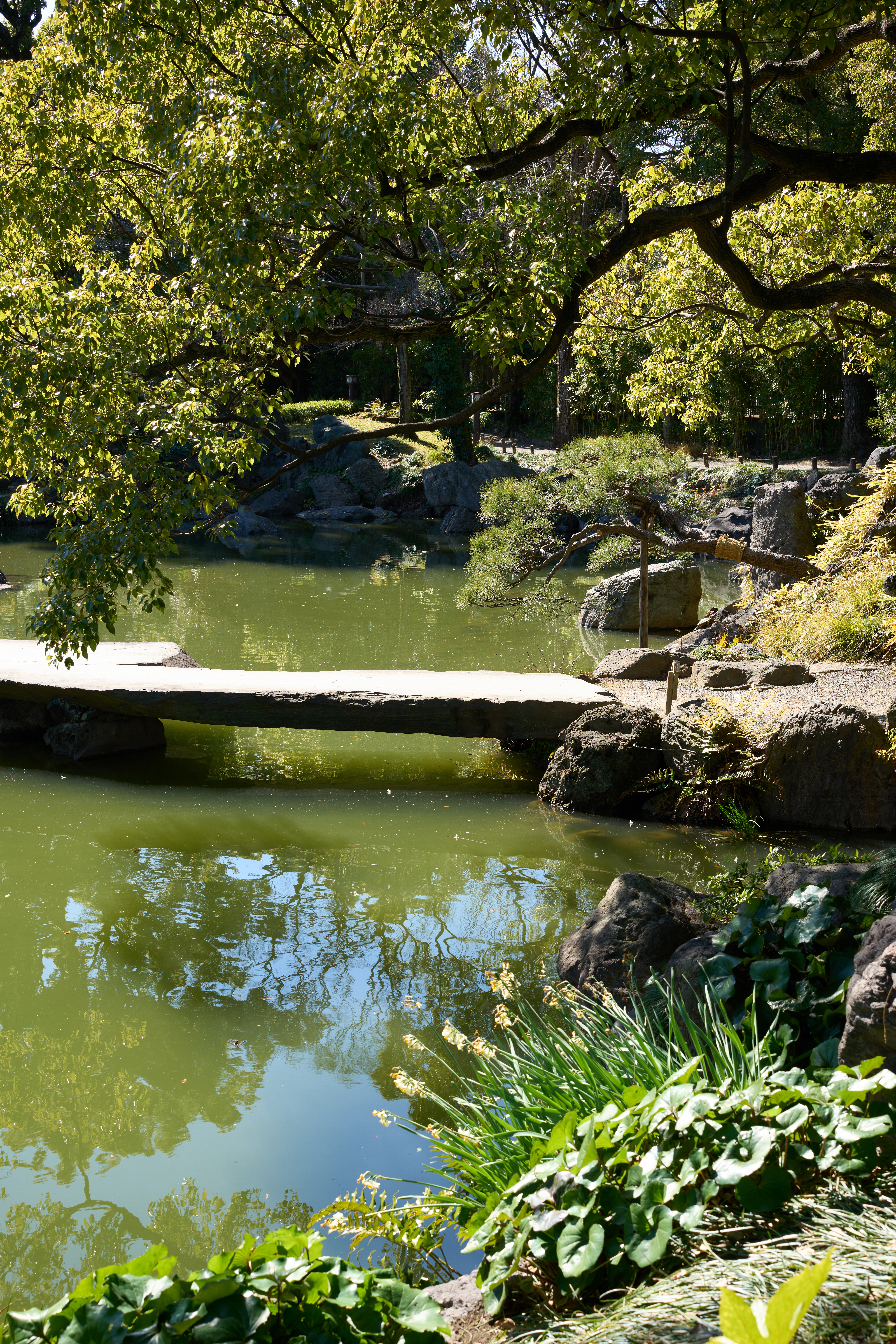 α1／50mm F1.4 DG DN｜Art／50mm／マニュアル（F8.0、1/125秒）／ISO 100／WB：太陽光