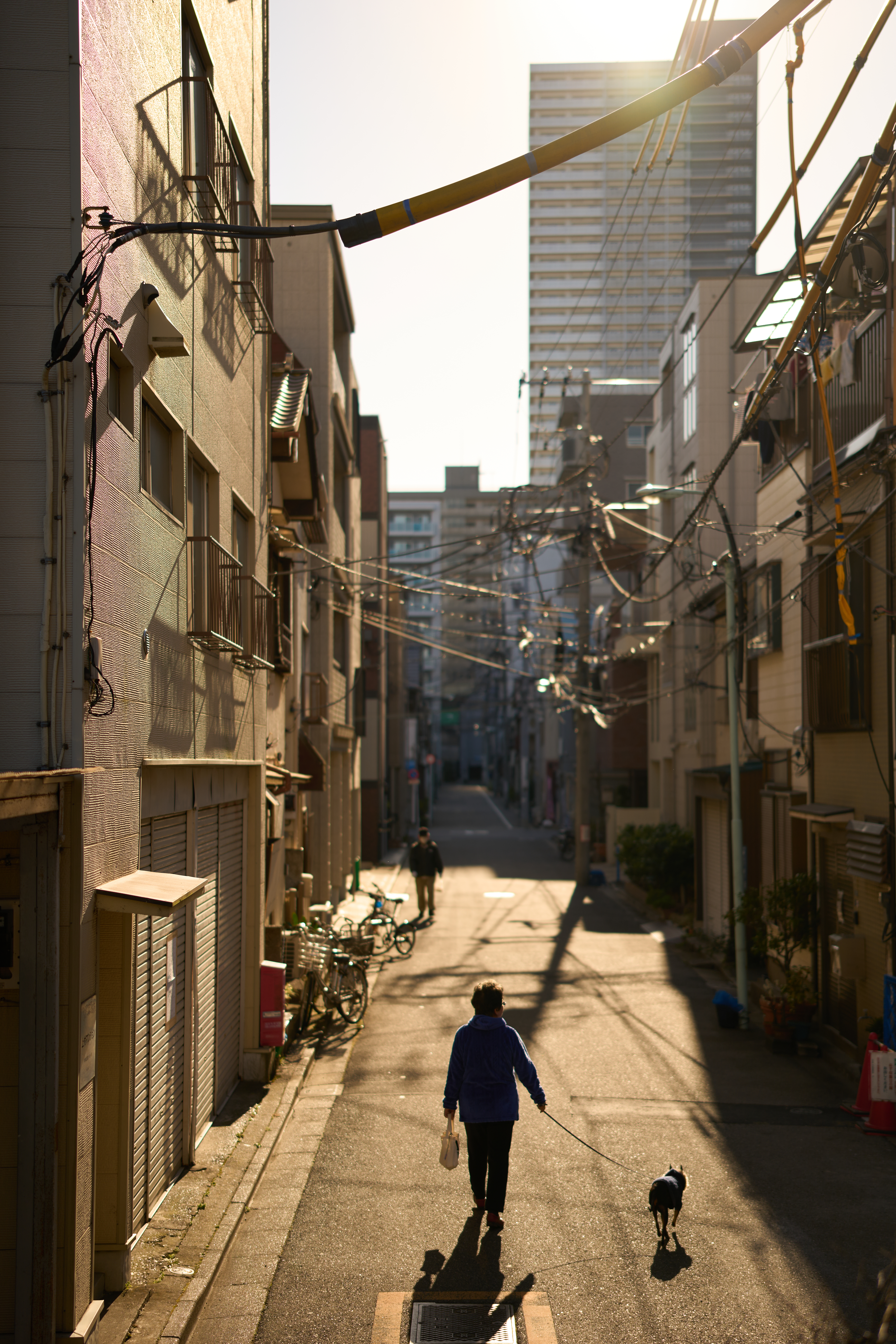 α1／50mm F1.4 DG DN｜Art／50mm／マニュアル（F1.4、1/5,000秒）／ISO 100／WB：太陽光