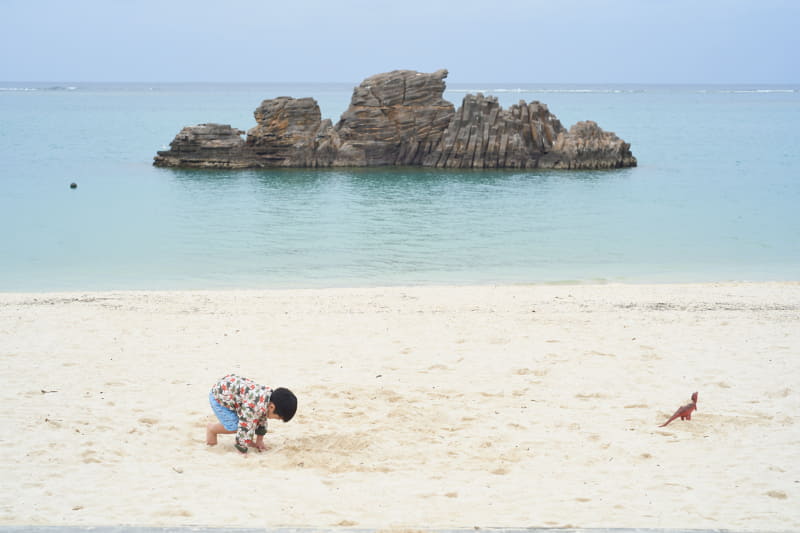 恐竜が住んでいそうな岩をバックに、恐竜のフィギュアと遊ぶ男の子。彼の世界の中ではきっと、白い砂は恐竜が闊歩する広大な砂漠なのだ。<br>ライカSL2-S／ノクティルックスM f1.25/75mm ASPH.／絞り優先AE（F4.8、1/200秒、+0.3EV）／ISO 100／WB：オート