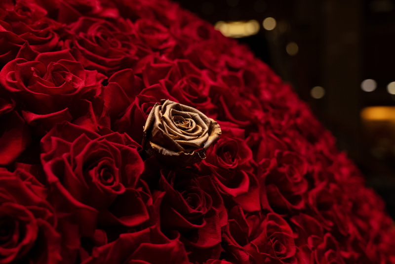 本館 1階ロビー装花。 ライカSL2 / ライカ バリオ・エルマリートSL f2.8/24-70mm ASPH. / 絞り優先AE（F4.5・1/200秒・－2.6EV）/ ISO 1600