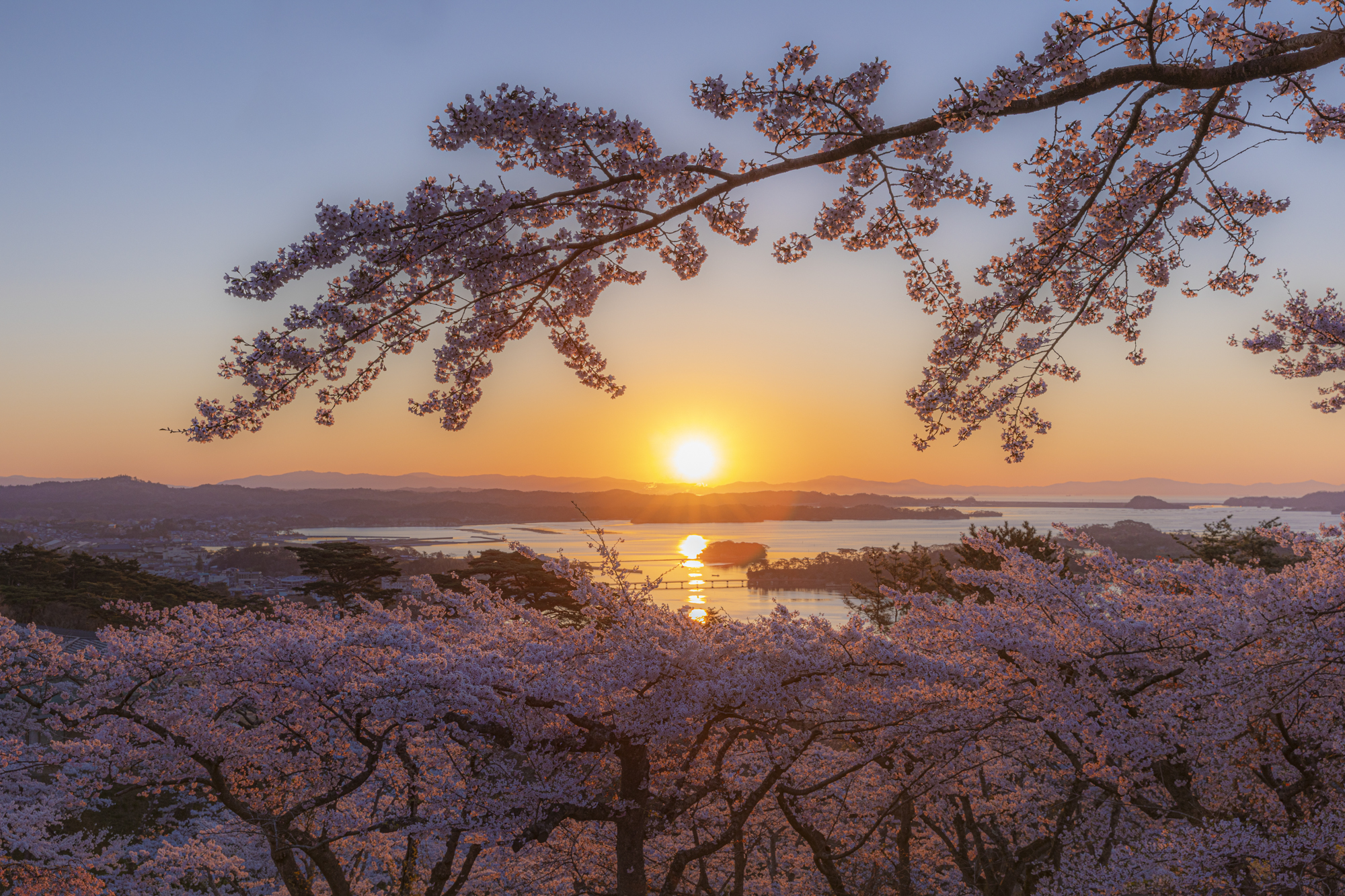 白衣観音展望台から朝日を狙った。普通に撮影すると桜との露出が合わないので、ハーフNDフィルターがあると便利だ<br>撮影：館野二朗（2019年4月20日撮影）<br><span class="fnt-85">EOS 5D Mark IV／EF24-70mm f/2.8L II USM／38mm／マニュアル露出（1/30秒・F11）／ISO 200／WB: 4800K</span>