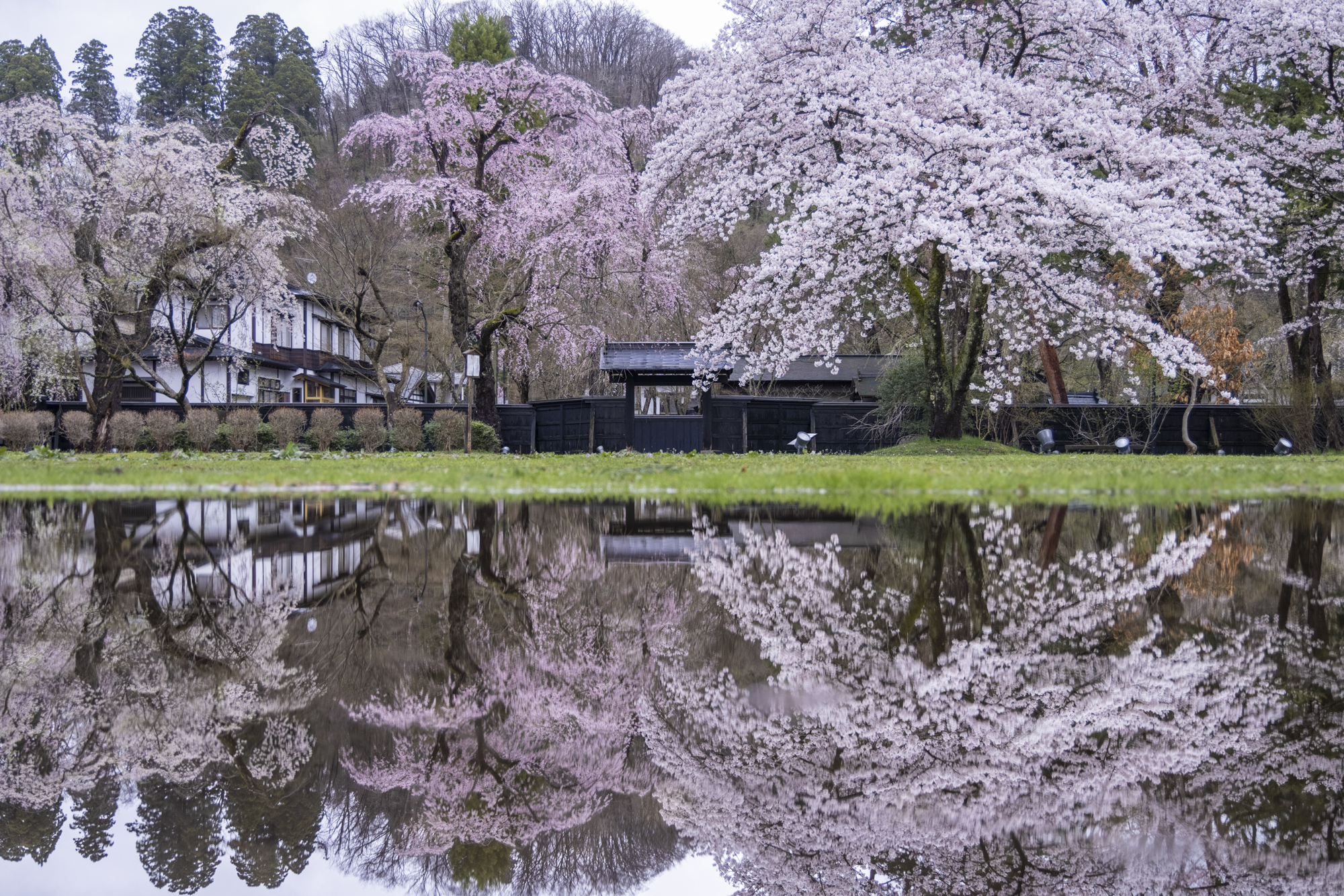 ここは定番スポットだが、この時は手前に水溜りがあったので、ローアングルに構え映り込みを撮影した<br>撮影：館野二朗（2021年4月19日撮影）<br><span class="fnt-85">EOS R5／RF24-105mm F4 L IS USM／35mm／マニュアル露出（1/60秒・F4）／ISO 320／WB: 4800K</span>