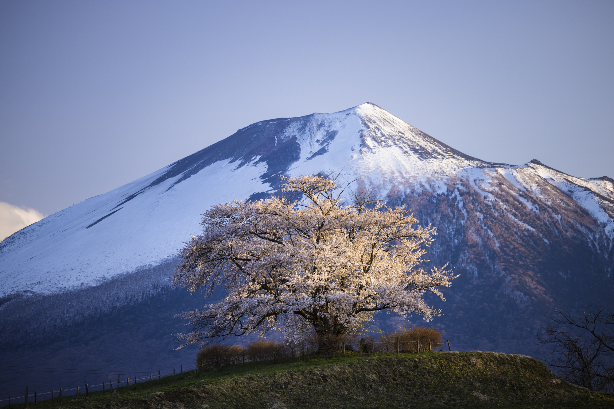 夕方、少し離れた場所から岩手山を背景に望遠レンズで狙った。圧縮効果も効いて山を大きく引き寄せることができた<br>撮影：館野二朗（2021年4月26日撮影）<br><span class="fnt-85">EOS R5／RF70-200mm F4 L IS USM／200mm／マニュアル露出（1/15秒・F11）／ISO 100／WB: 4800K</span>