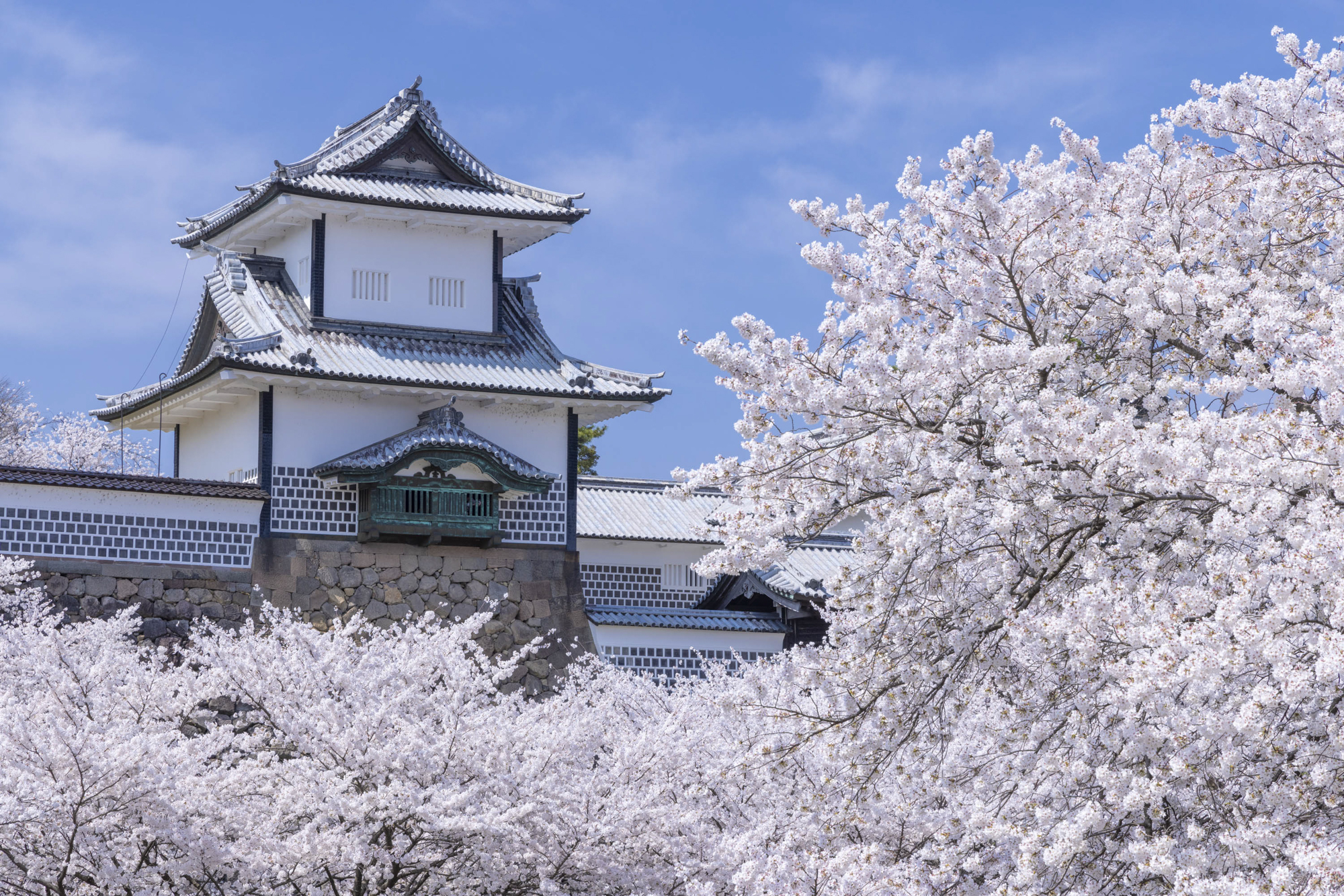 撮影地：金沢城石川門（石川県金沢市）撮影：館野二朗（2023年3月31日撮影）<br><span class="fnt-85">EOS 5R／RF24-105mm F4 L IS USM／80mm／マニュアル露出（1/100秒・F11）／ISO 250</span>