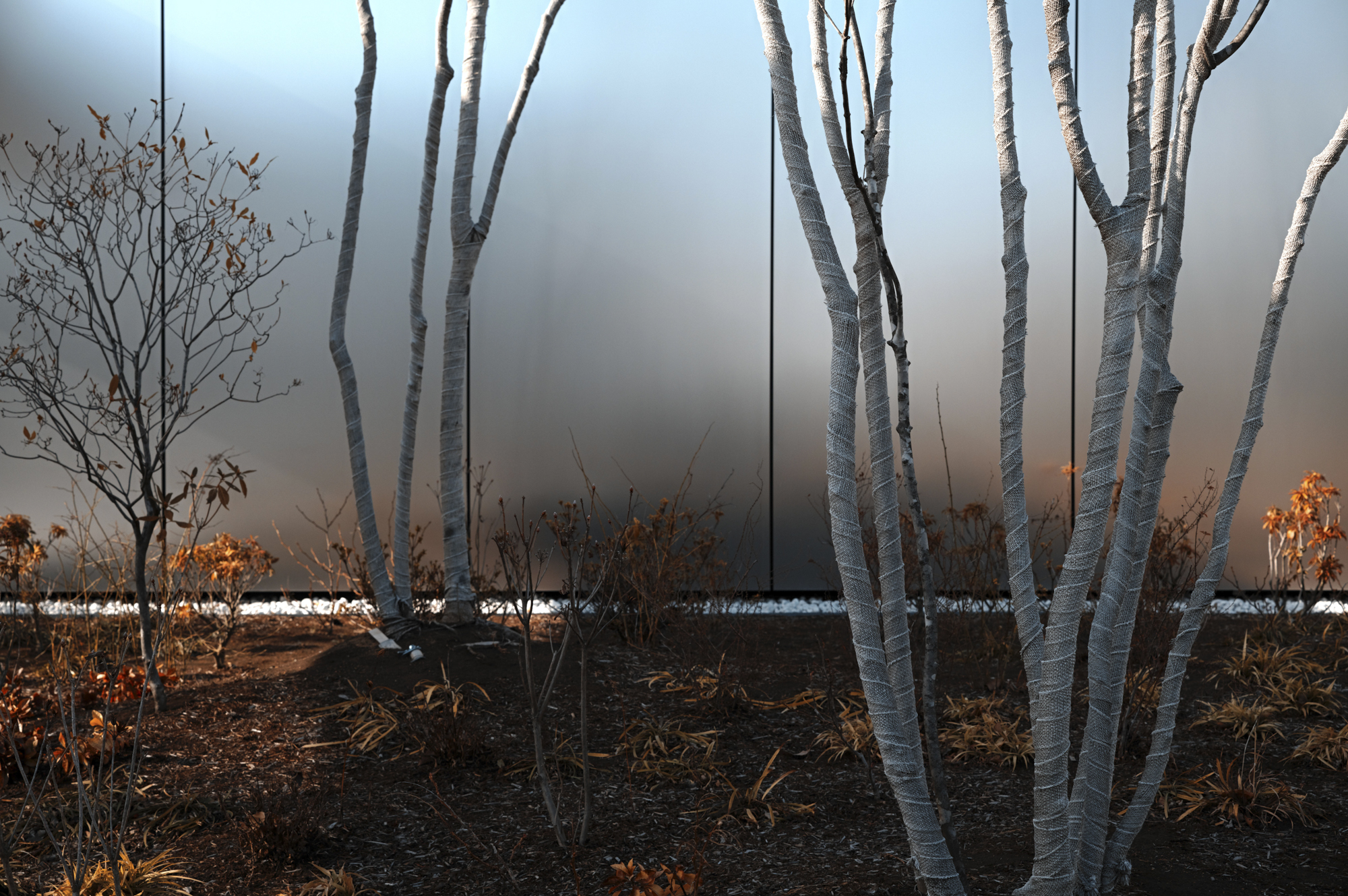 SIGMA fp L／SIGMA 50mm F1.4 DG DN | Art／マニュアル露出（1/500秒・F8）／ISO 320／WB: オート／カラーモード: ティールアンドオレンジ