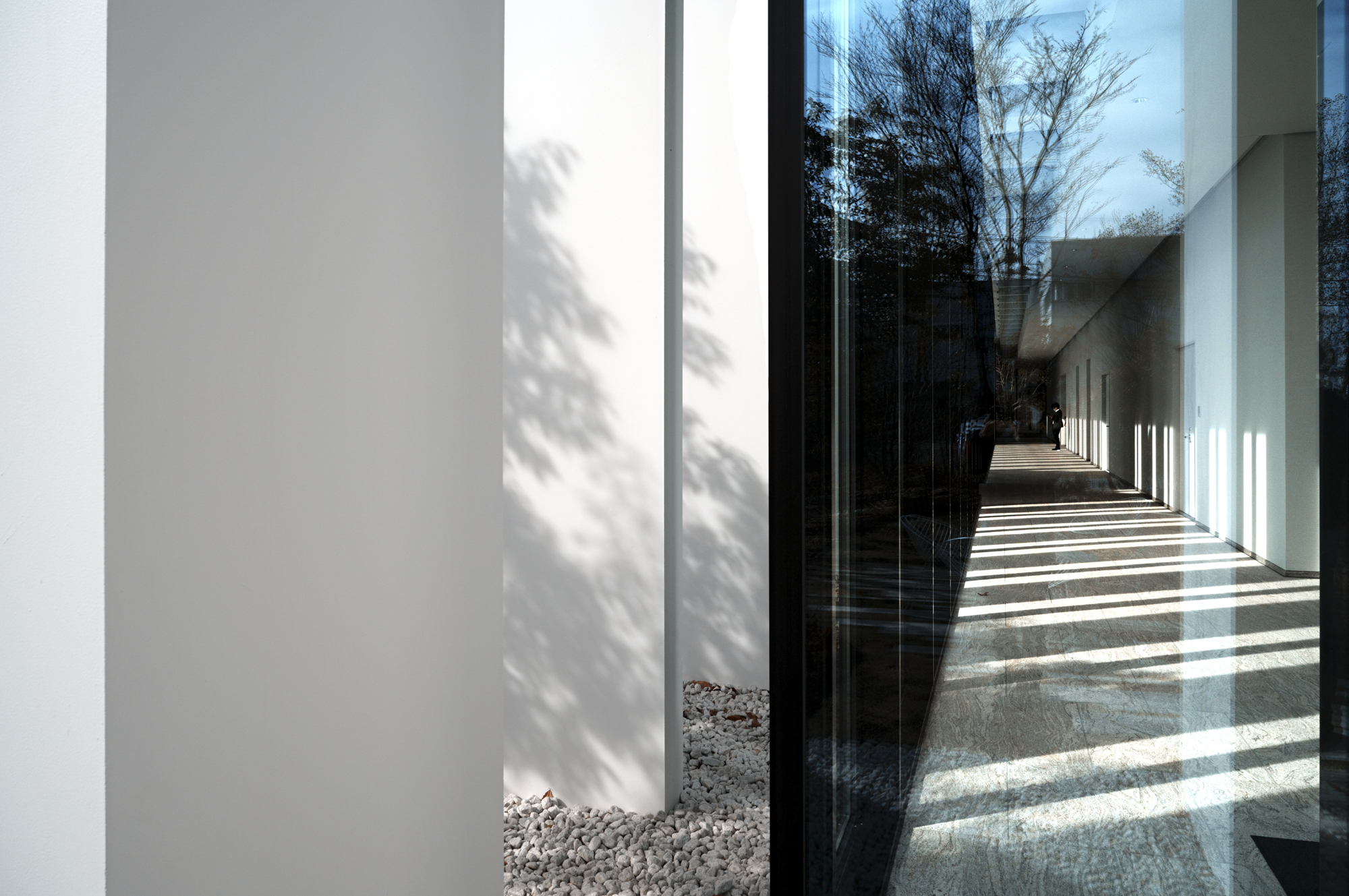 SIGMA fp L／SIGMA 24mm F3.5 DG DN | Contemporary／マニュアル露出（1/640秒・F11）／ISO 640／WB: オート／カラーモード: ティールアンドオレンジ