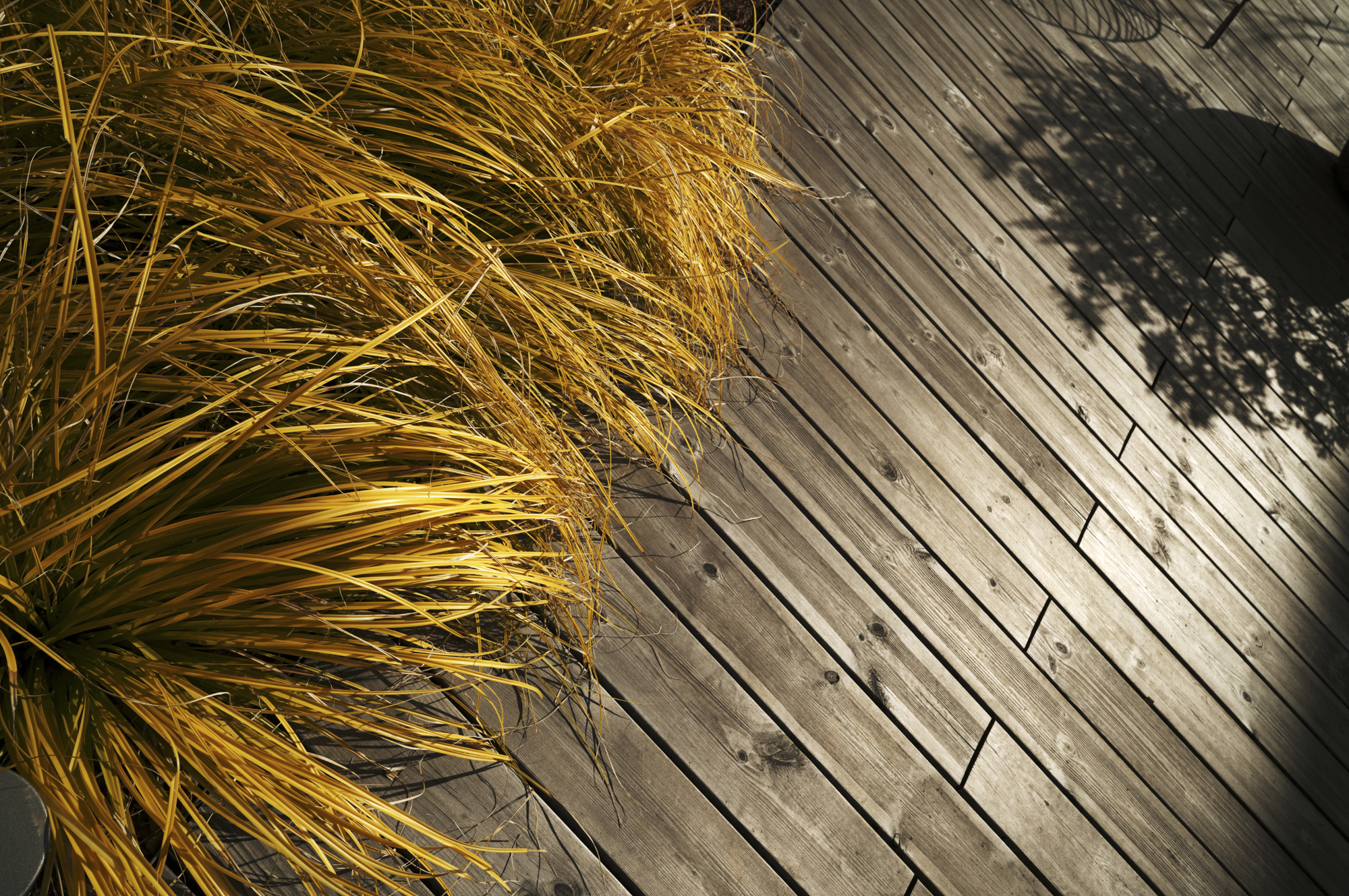 SIGMA 24mm F3.5 DG DN | Contemporary　　　F13　1/500秒／ISO 250／WB: オート／カラーモード: ウォームゴールド