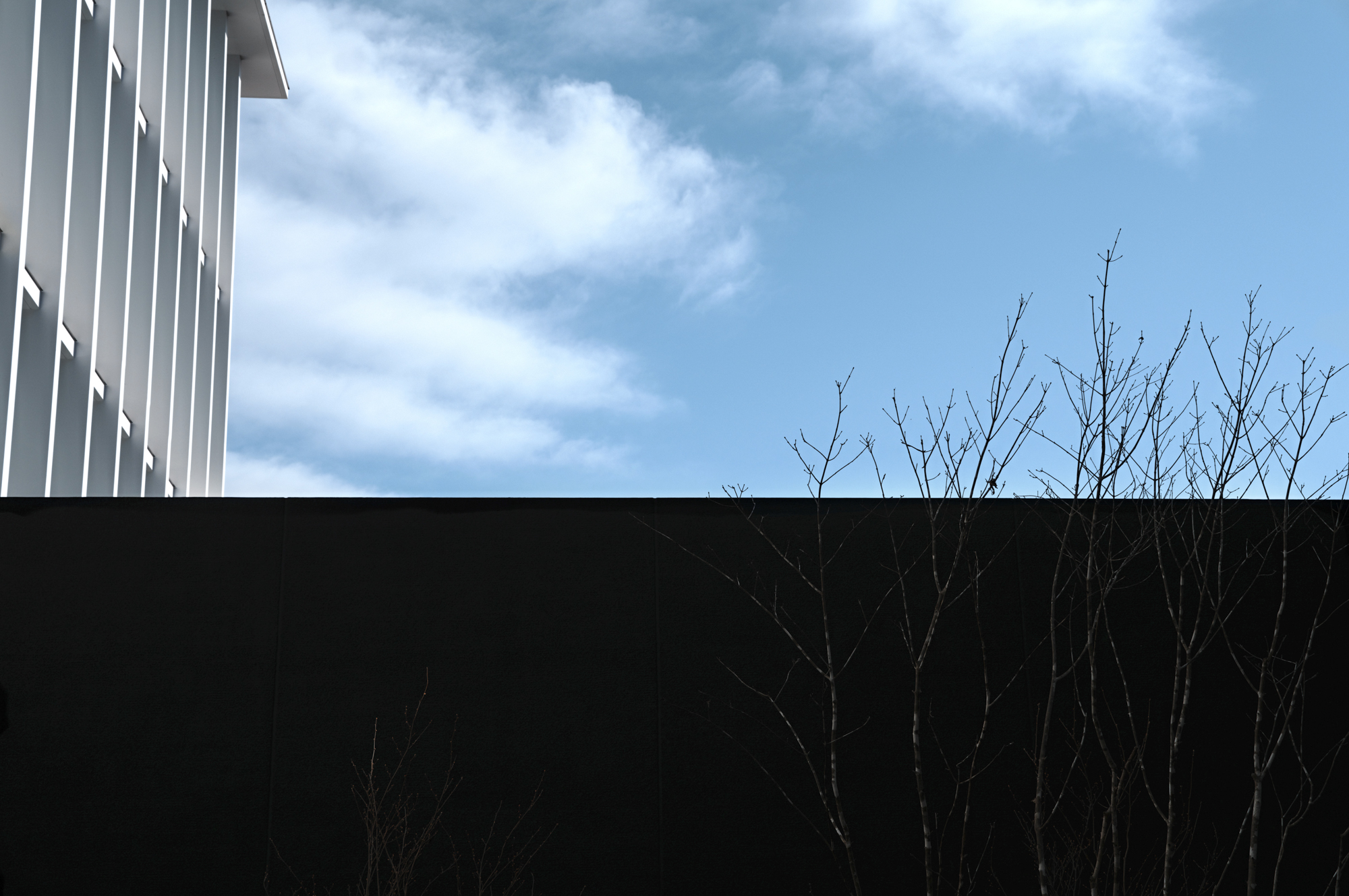 SIGMA fp L／SIGMA 50mm F1.4 DG DN | Art／マニュアル露出（1/1,250秒・F10）／ISO 320／WB: オート／カラーモード: ティールアンドオレンジ