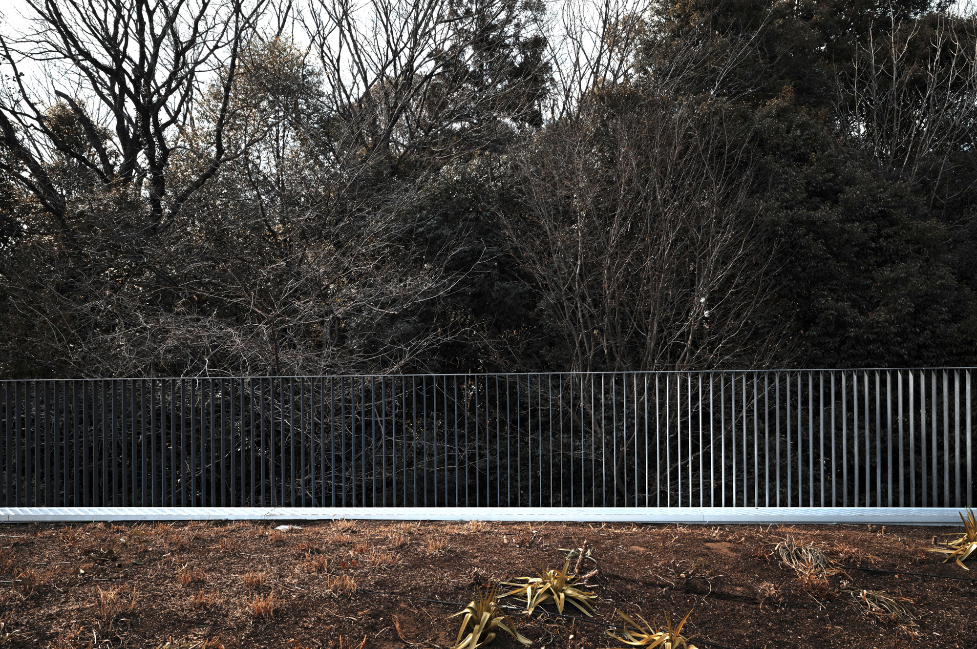 SIGMA fp L／SIGMA 24mm F3.5 DG DN | Contemporary／マニュアル露出（1/500秒・F11）／ISO 640／WB: オート／カラーモード: ティールアンドオレンジ