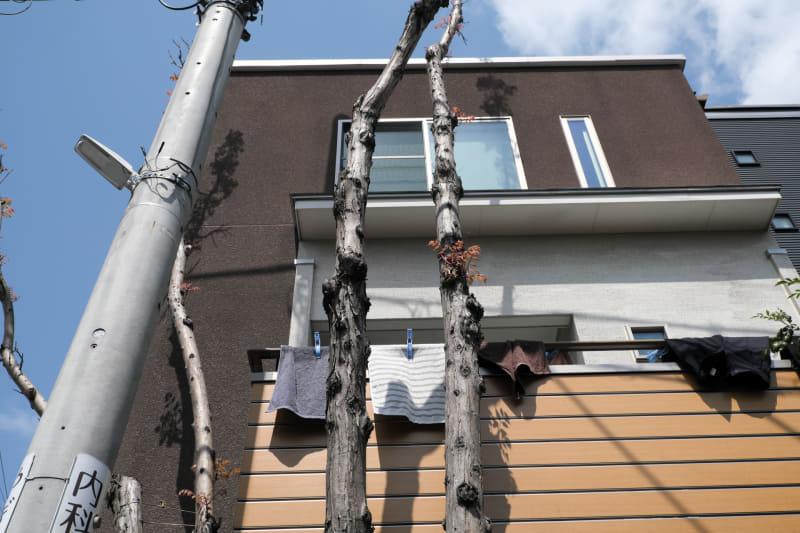 「いつもの青空」が気に食わなかったのでフィルムシミュレーションを「クラシッククローム」にして渋めにしてみました。さほど大きな意味はありませんが、少しシリアスな再現性になったようです。<br>X-E4／XF18-55mmF2.8-4 R LM OIS／絞り優先オート（22.3mm・F9・1/1,100秒）／ISO400