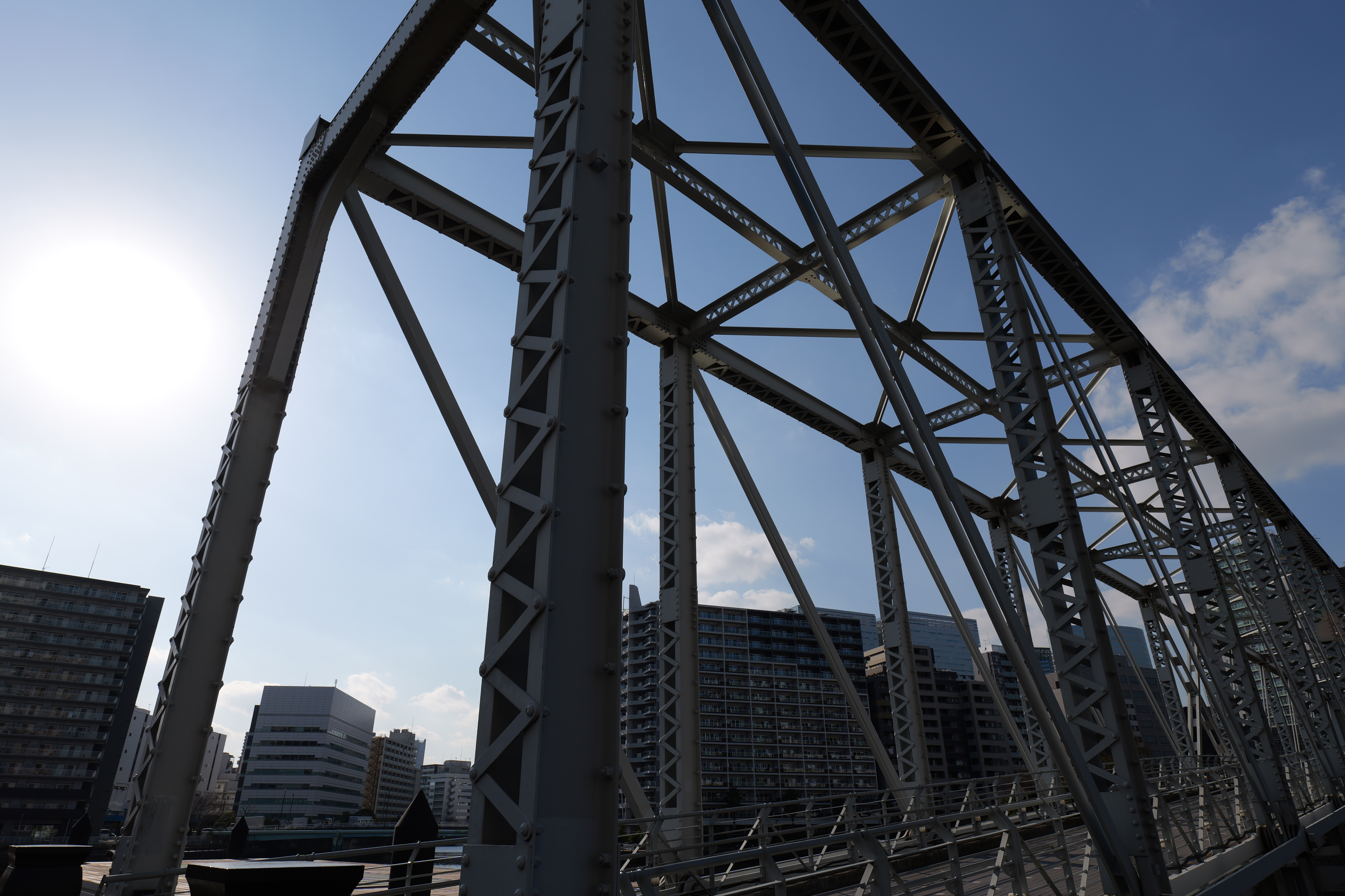 ちょっと意地悪に真逆光で撮影を行った。センサー表面へのARコーティング、およびレンズのコーティングにより内面反射が抑えられ、フレアの発生は皆無。ゴーストも見受けられない。逆光撮影とは思えないほどのすっきりとしたクリアな写りである。<br><span class="fnt-85">LUMIX S5II／LUMIX S 20-60mm F3.5-5.6／絞り優先AE（F8.0、1/640秒、±0EV）／ISO 100／WBオート</span>