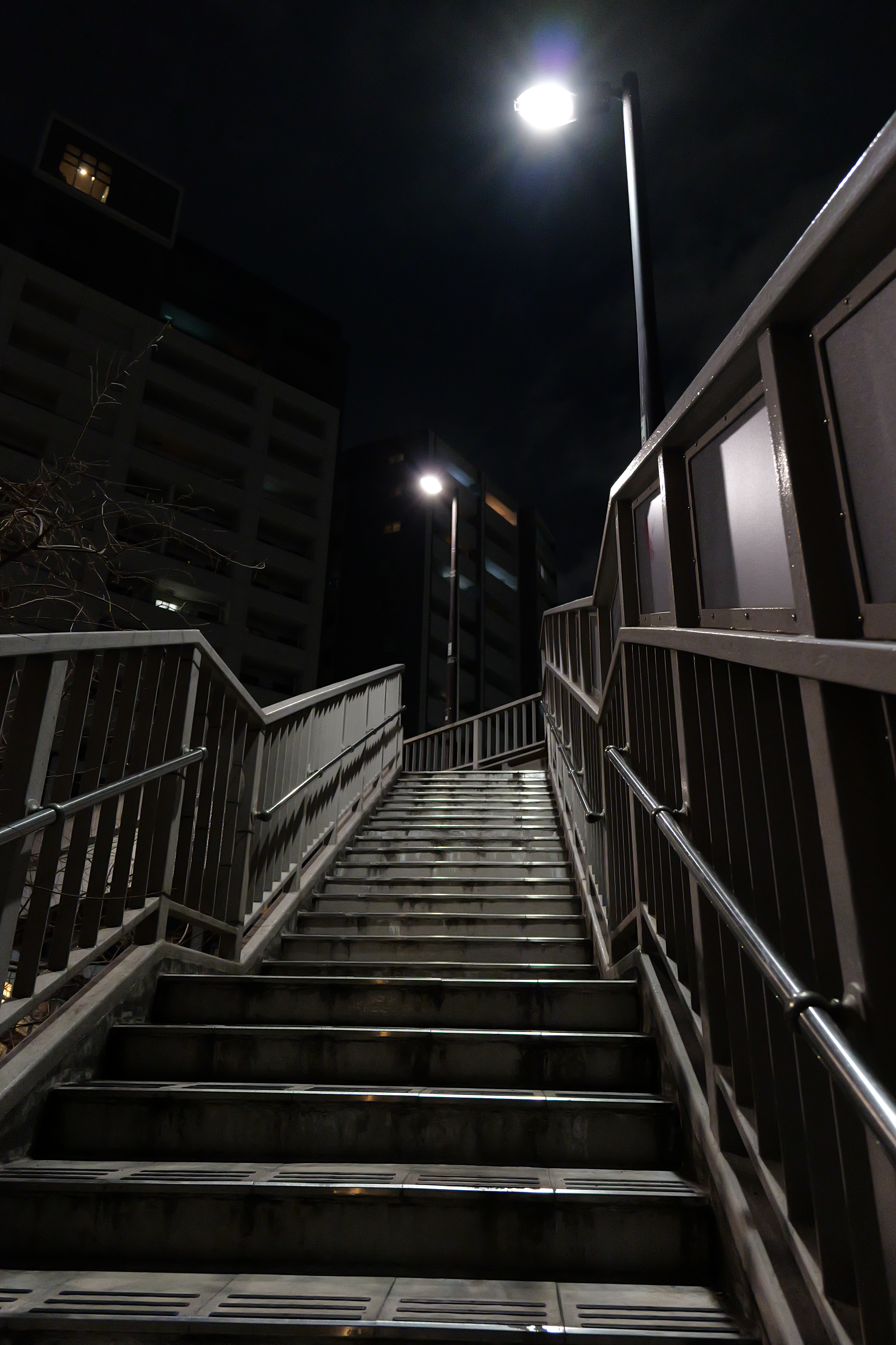 こちらの写真はISO 12800での撮影。画像を等倍まで拡大するとノイズが発生していることがよく分かるが、25%ほどの拡大率だと気にならないレベルだ。手ブレ補正もよく効いており、シャープな写りが得られた。<br><span class="fnt-85">LUMIX S5II／LUMIX S 20-60mm F3.5-5.6／絞り優先AE（F5.0、1/80秒、-1.0EV）／ISO 12800／WBオート</span>