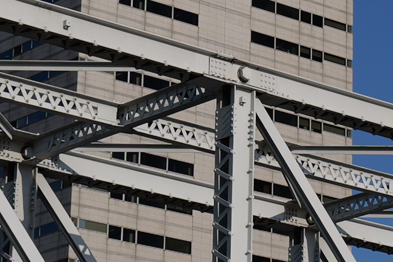 <span class="fnt-85">LUMIX S5II／LUMIX S 20-60mm F3.5-5.6／絞り優先AE（F8.0、1/640秒、-0.7EV）／ISO 100／WBオート</span>