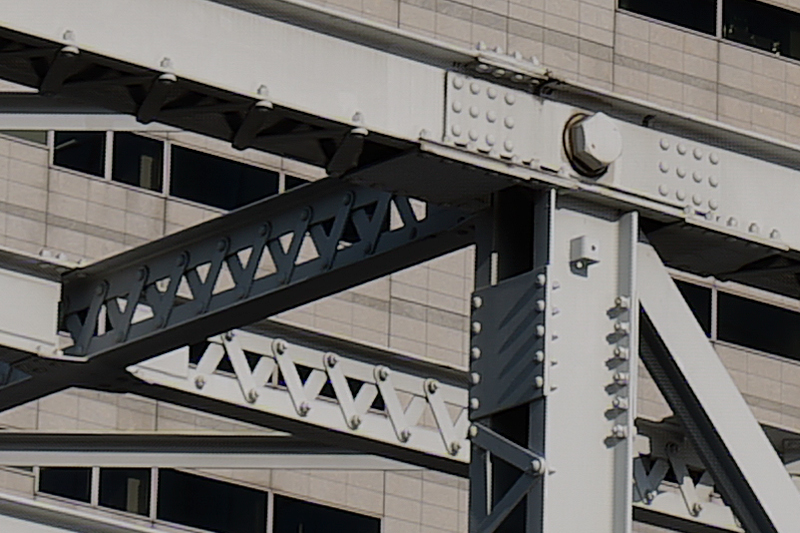 上は通常設定、下が9,600万画素のハイレゾモードで撮影。ともに中央部を等倍でトリミングしている。三脚の使用はマストだが、超高精細の世界が手軽に楽しめる。合成の精度も極めて高く、圧倒的な解像感だ。<br><span class="fnt-85">LUMIX S5II／LUMIX S 20-60mm F3.5-5.6／絞り優先AE（F8.0、1/640秒、-0.7EV）／ISO 100／WBオート</span>