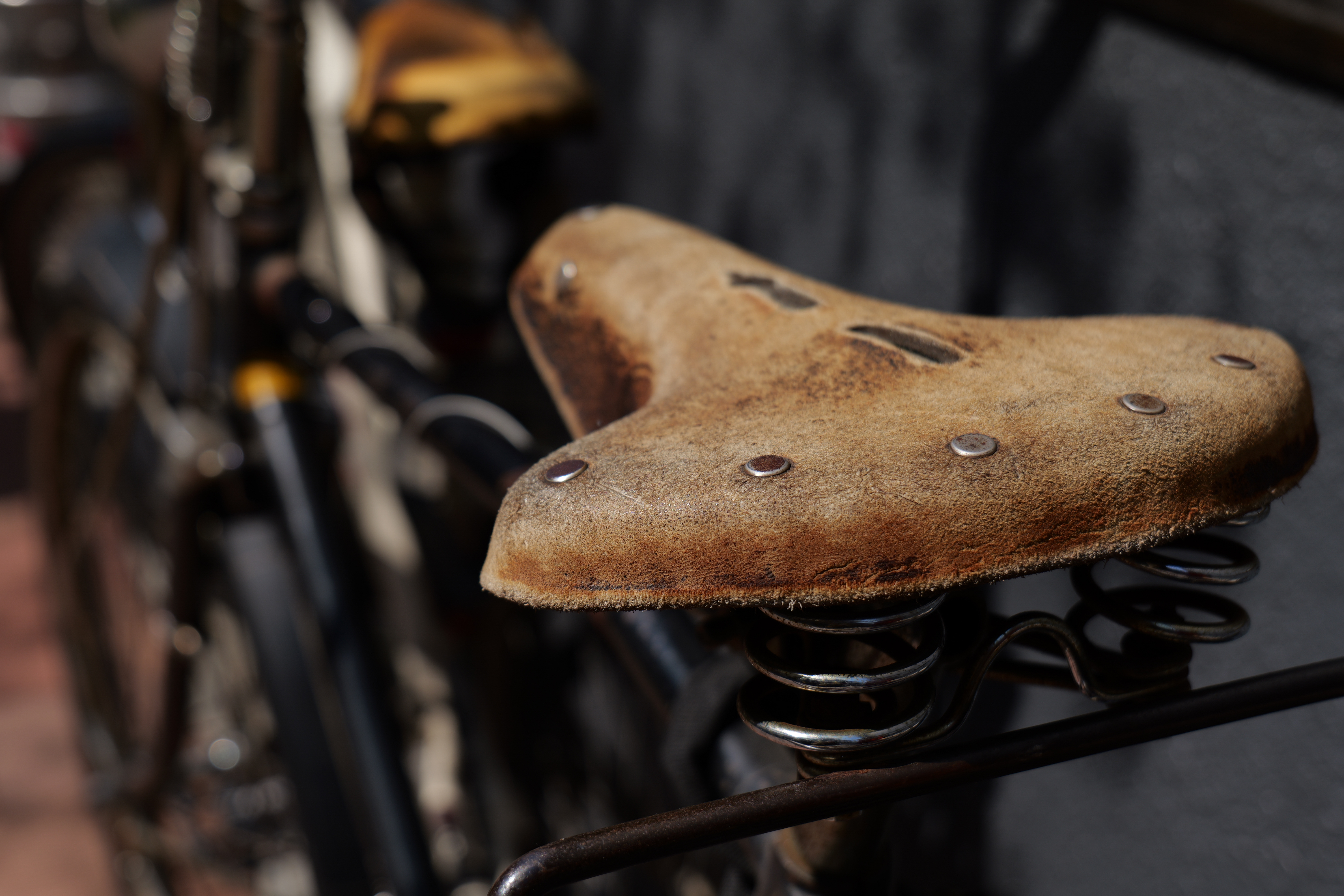 ピントの合った部分のエッジのキレがよいため、被写体が浮かび上がって見えるほど。EVFの見えのよさに加え、シャッターボタンの感触やシャッター音など感性に訴える部分も安っぽさなどまったくなく、撮影が快適に楽しめるカメラである。<br><span class="fnt-85">LUMIX S5II／LUMIX S 20-60mm F3.5-5.6／絞り優先AE（F5.6、1/640秒、-1.0EV）／ISO 100／WBオート</span>