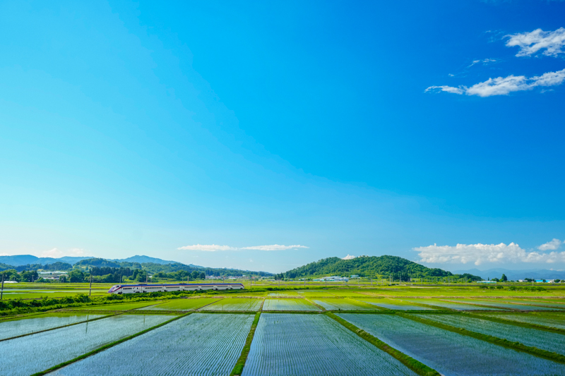 ソニーα1／FE 16-35mm F2.8 GM／絞り優先オート（31mm、F5、1/1,250秒）／ISO800／WB:太陽光