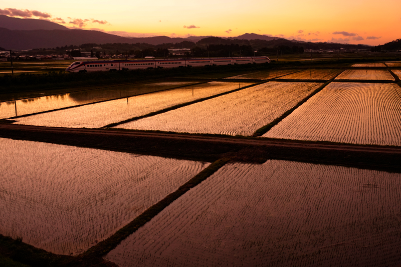 ソニーα1／FE 24-70mm F2.8 GM II／絞り優先オート（34mm、F2.8、1/1,250秒）／ISO1600／WB:日陰