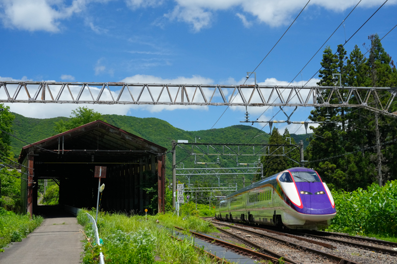 ソニーα1／FE 24-70mm F2.8 GM II／絞り優先オート（50mm、F8、1/1,600秒）／ISO1600／WB:太陽光