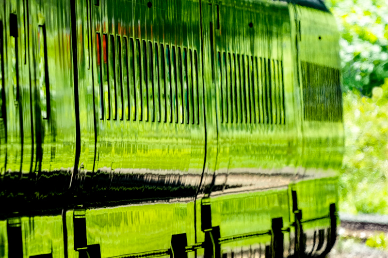 ソニーα1／FE 200-600mm F5.6-6.3 G OSS／絞り優先オート（900mmクロップ、F6.3、1/1,000秒）／ISO1600／WB:太陽光