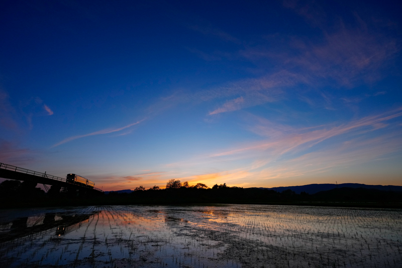 ソニーα1／FE 16-35mm F2.8 GM／絞り優先オート（17mm、F5.6、1/500秒）／ISO800／WB:太陽光
