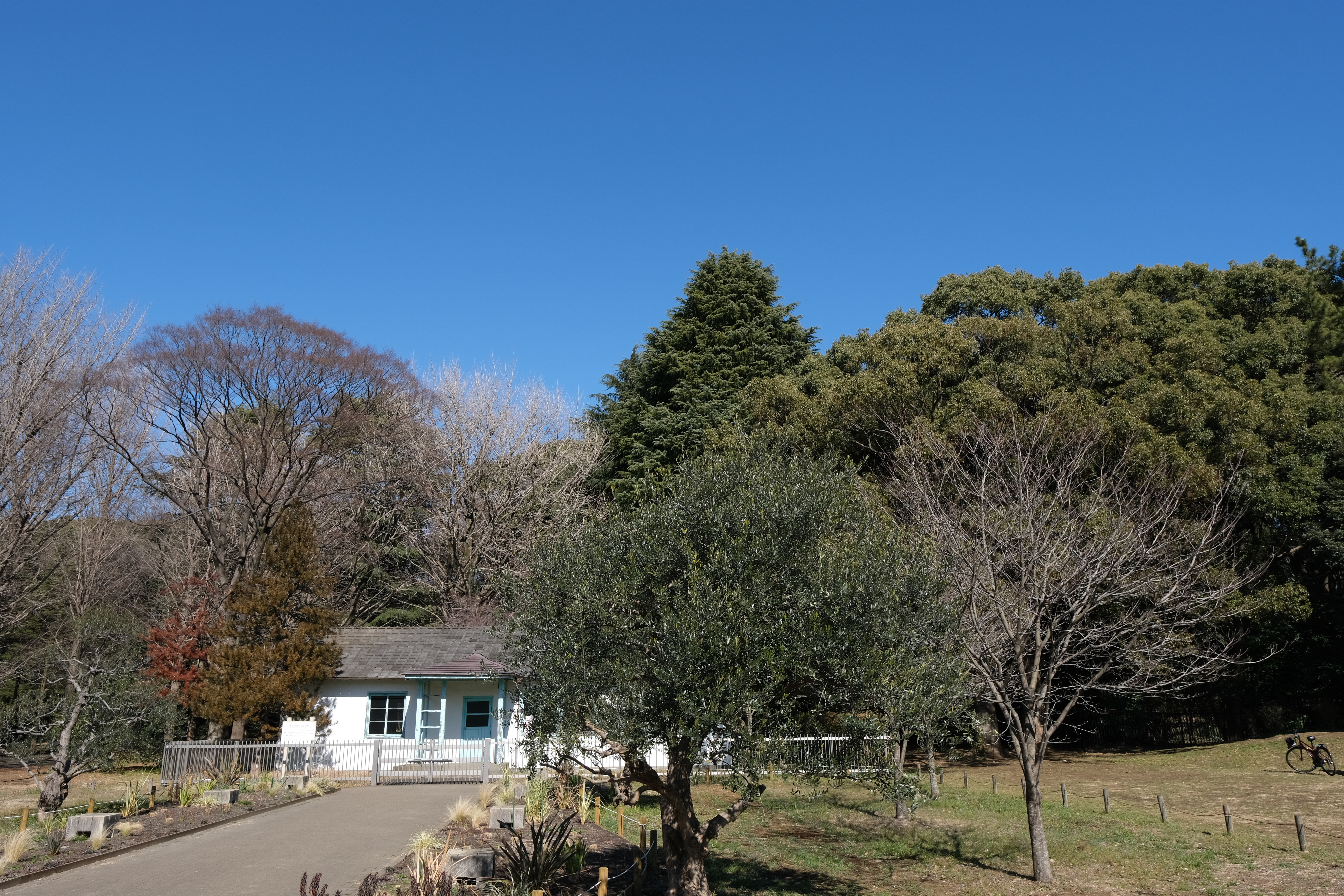 元となるカラー写真。フィルムシミュレーションはPROVIA/スタンダード。ここからACROSとACROS＋フィルターでコントラストの変化を見てみる。