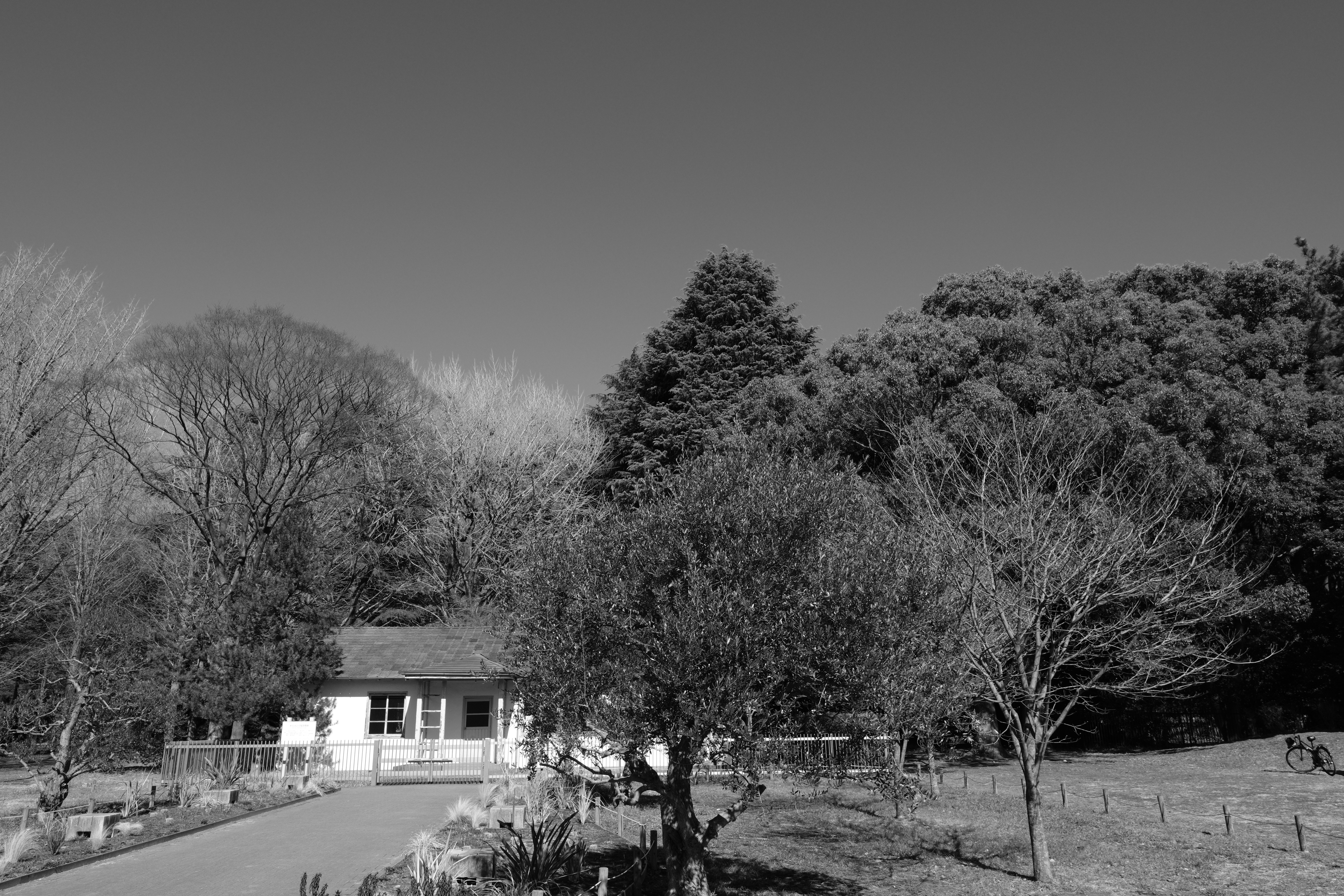 ACROS＋Ye。青空が暗くなり、コントラストのはっきりした写真になった。極端な効果ではなく、さり気なくインパクトを強めたいときに活用できるフィルター機能だ。