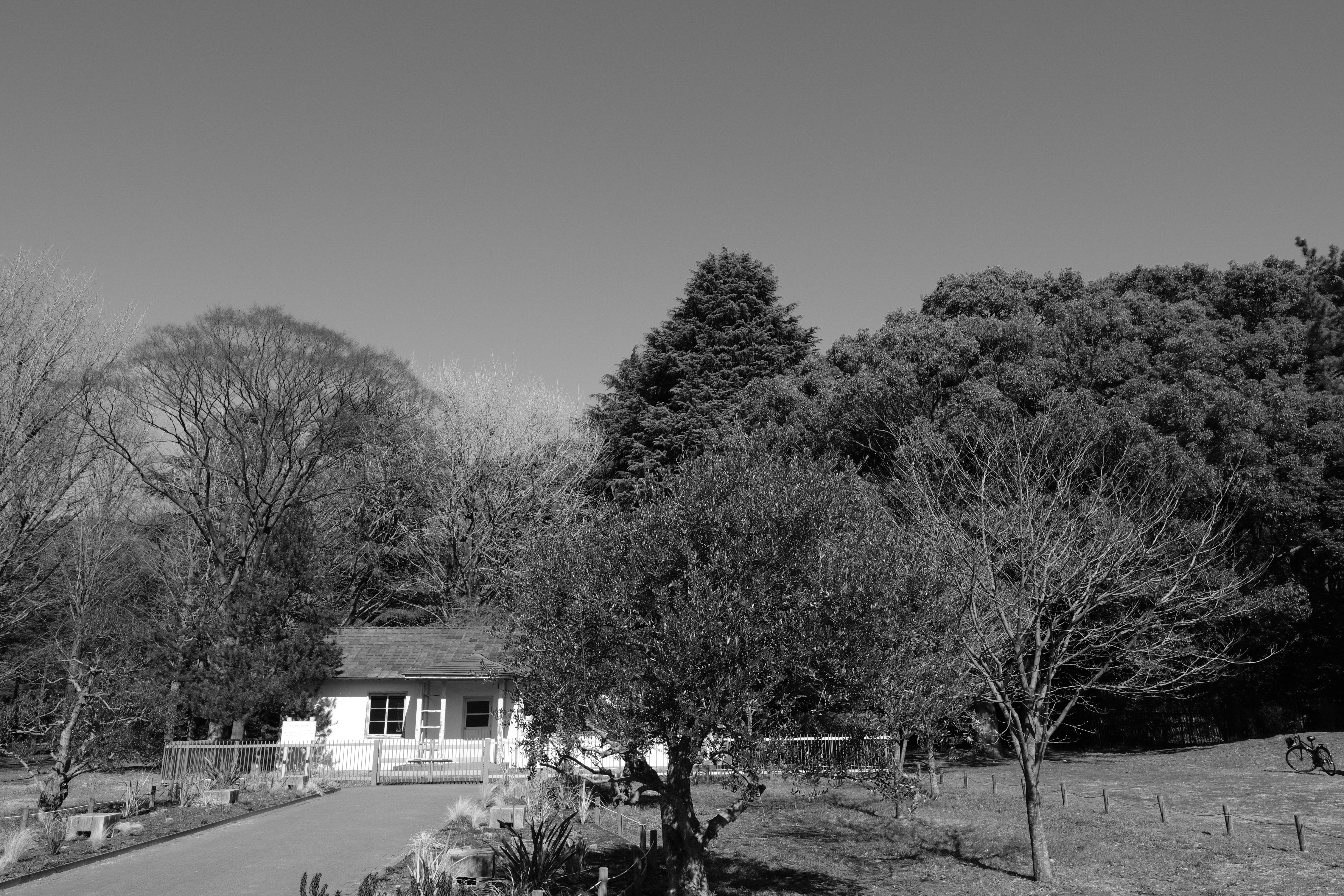 ACROS＋G。YeやRとは逆に空が明るくなった。ほぼフィルターなしのACROSと同じだが、Gフィルターありの方がわずかに明るい。フィルター機能の違いで、仕上がりの雰囲気が変わるのがよくわかる。