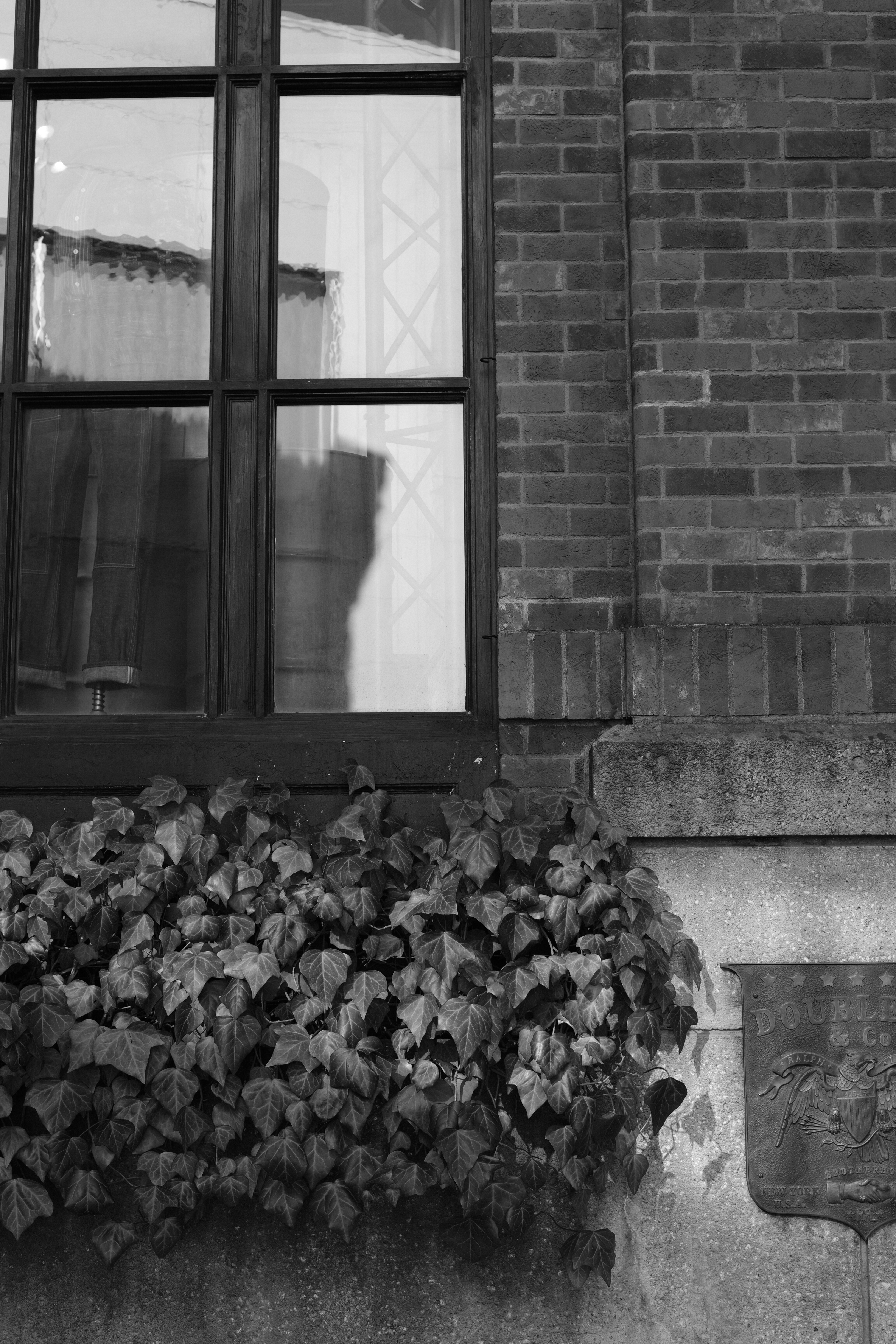 ACROS（フィルターなし）