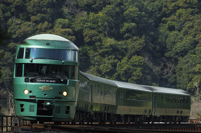 車両すべてがきれいに収まる鉄橋だが、春は光線が繊細。わずかに光が差す部分があると線路を見て判断。40コマ/秒と乗り物優先に設定して、その瞬間を捉えた<br><span class="fnt-85">EOS R8／RF100-400mm F5.6-8 IS USM／225mm／マニュアル露出（F8、1/800秒）／ISO 800／WB：オート</span>