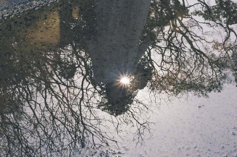 水たまりを見つけたので、自転車を止めてすぐに撮影した。木々がリフレクションしている中に、モデルにも入ってもらう。このカメラだとふとした瞬間を逃さずに撮影できる<br><span class="fnt-85">EOS R8／RF50mm F1.8 STM／50mm／マニュアル露出（F9、1/40秒）／ISO 200／WB：オート</span>