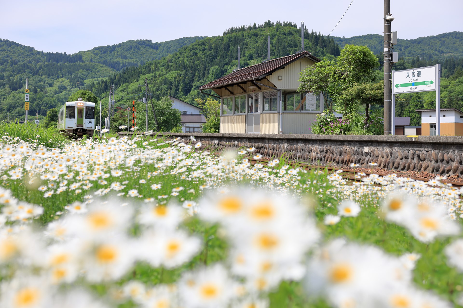 EOS R5／RF24-70mm F2.8 L IS USM／50mm／マニュアル露出（F4、1/1,600秒）／ISO 200／WB: 太陽光／只見線　入広瀬駅