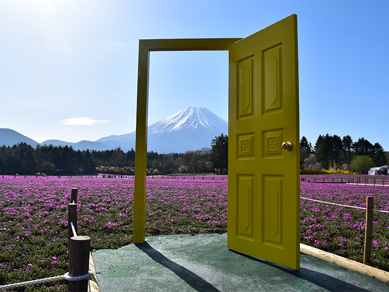 幸せの黄色い扉