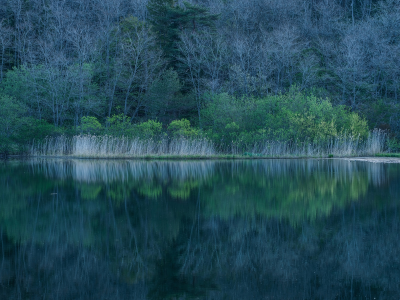 静寂を映す芽吹きの山池。水面の水平を出すのは難しいが、自由雲台にギア雲台G2を搭載すると、上下左右の精緻なこだわりを正確に決められておすすめだ<br><span class="fnt-85">FUJIFILM GFX 50S／GF100-200mmF5.6 R LM OIS WR／158mm（125mm相当）／絞り優先AE（F11、1/10秒、－0.7EV）／ISO 400／WB：太陽光</span>