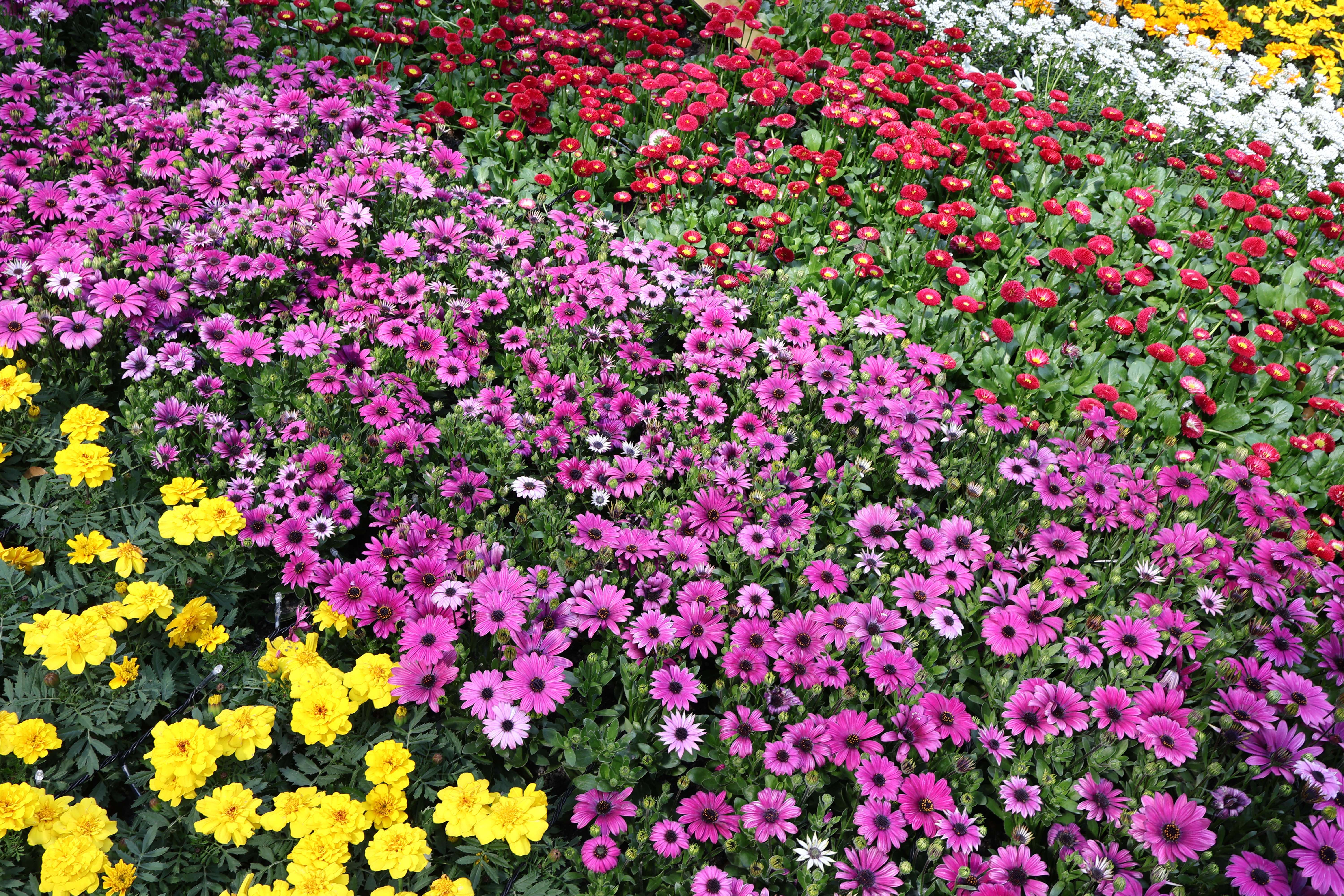 EOS R50／RF-S18-45mm F4.5-6.3 IS STM／21mm／絞り優先AE（F8.0、1/50秒、±0EV）／ISO 100／WB：オート