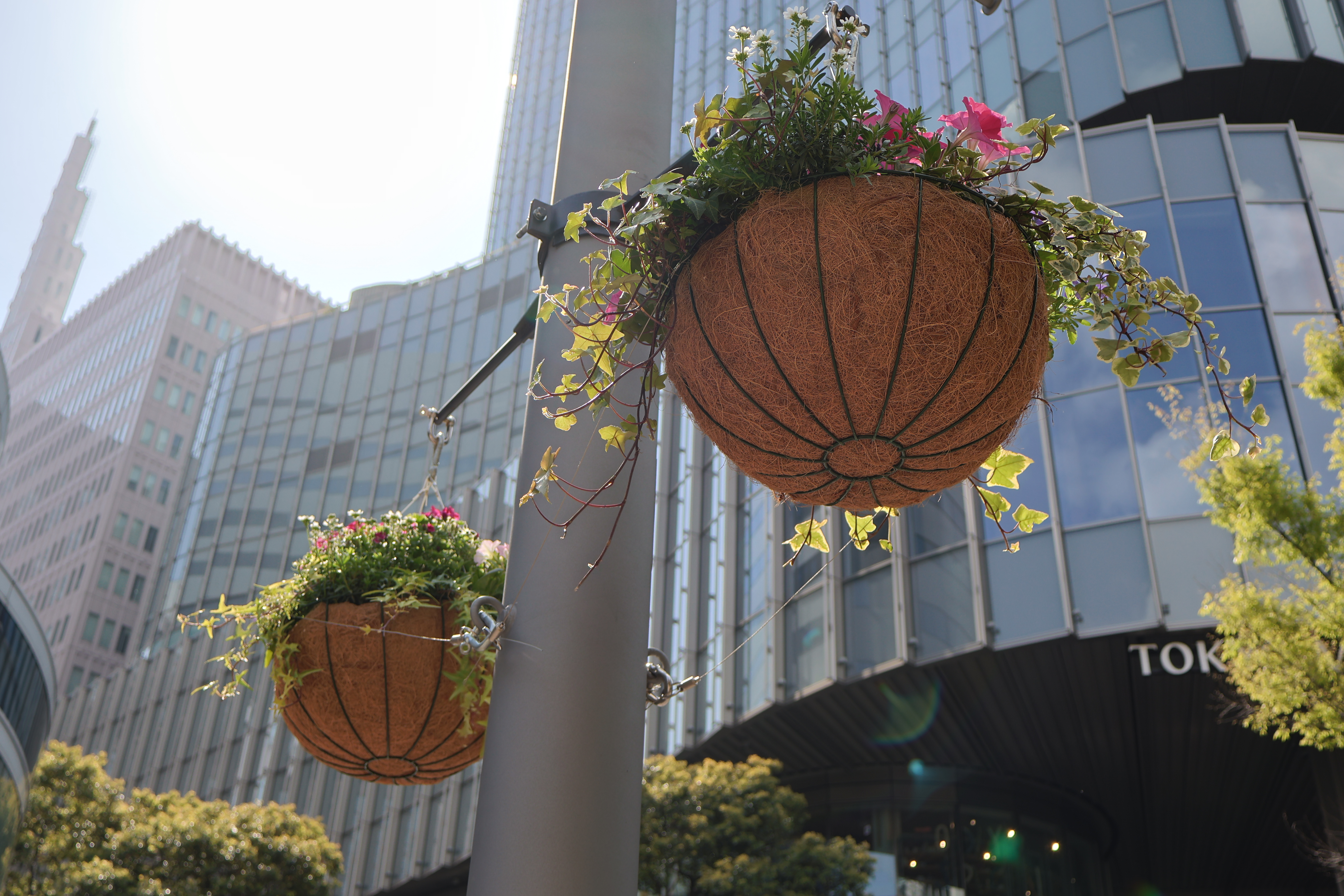 EOS R50／RF-S18-45mm F4.5-6.3 IS STM／23mm／プログラムAE（F5.6、1/320秒、±0EV）／ISO 100／WB：オート