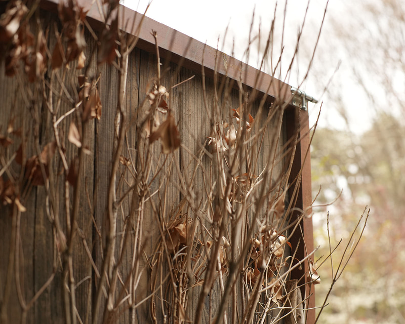 フィルターなし