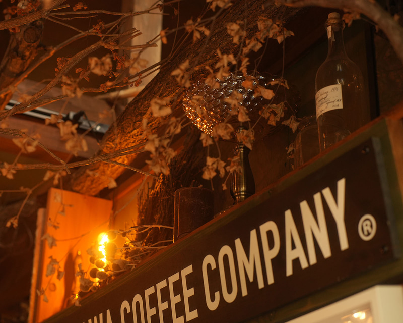 ヴィンテージライトオレンジ+ホワイトプレミアムミストNo.3使用