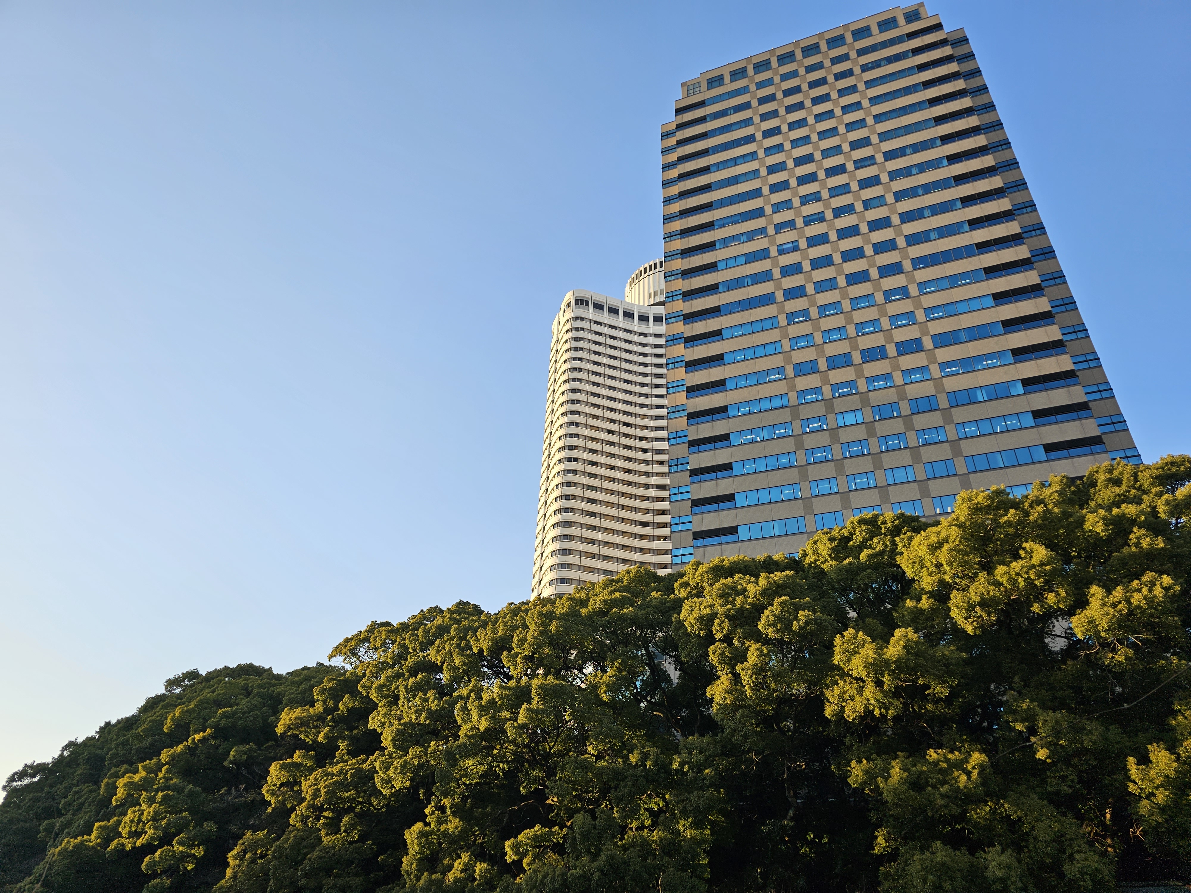 <span class="fnt-85">Galaxy S23 Ultra／6.3mm（23mm相当）／1/200秒／F1.7／ISO 10</span>