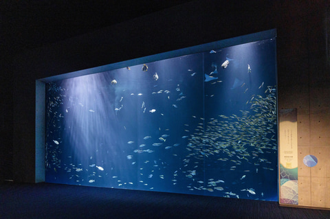 イベント告知】四国水族館、GW中は21時まで営業。瀬戸内海に沈む夕日を
