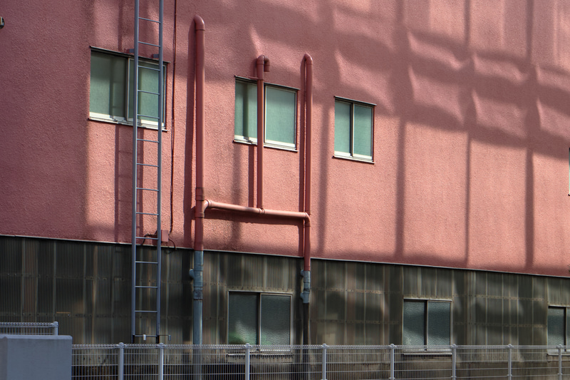 サードパーティの85mmレンズが出てきたので使用してみました。望遠スナップをただいま練習中でありまして、なかなか使いやすいレンズでした。<br>EOS R50／タムロンSP 85mm F/1.8 Di VC USD／プログラムAE（F7.1・1/1,000秒）／ISO 400