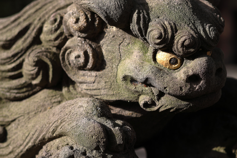 至近距離で絞りも開き気味ですが、問題なく良い描写です。一皮剥けたような潜在的な性能を引き出している感があります。<br>EOS R50／EF50mm F1.8 STM／絞り優先AE（F3.5・1/1,000秒）／ISO 100