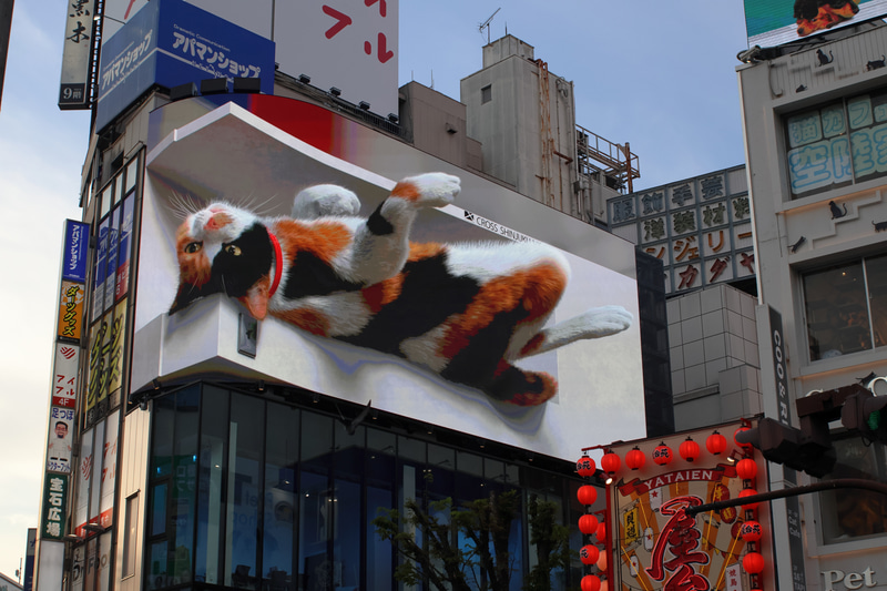 少し厚ぼったい描写なのは古いレンズの特徴でもありますが、それなりの描写をみせてくれます。画像処理できっちり追い込めば、もっと良くなるでしょう。<br>EOS R50／EF35-70mm F3.5-4.5／プログラムAE（39mm・F10・1/640秒）／ISO 800