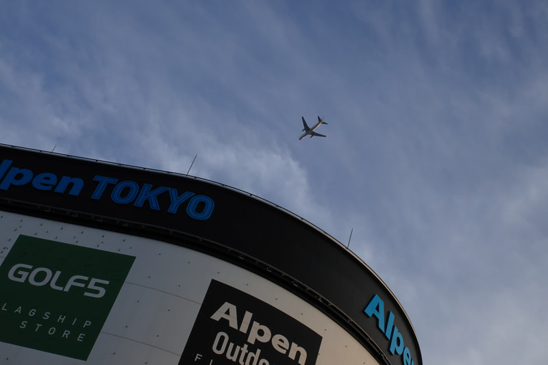 フォーカスがフルオートから外れていたので、珍しくフォーカスが迷ったため、レンズ鏡胴のAF/MFの切り替えスイッチを使用してMFに切り替え、インフに設定して撮影。なかなか線の細い描写です。<br>EOS R50／EF35-70mm F3.5-4.5／絞り優先AE（35mm・F10・1/1,000秒）／ISO 800