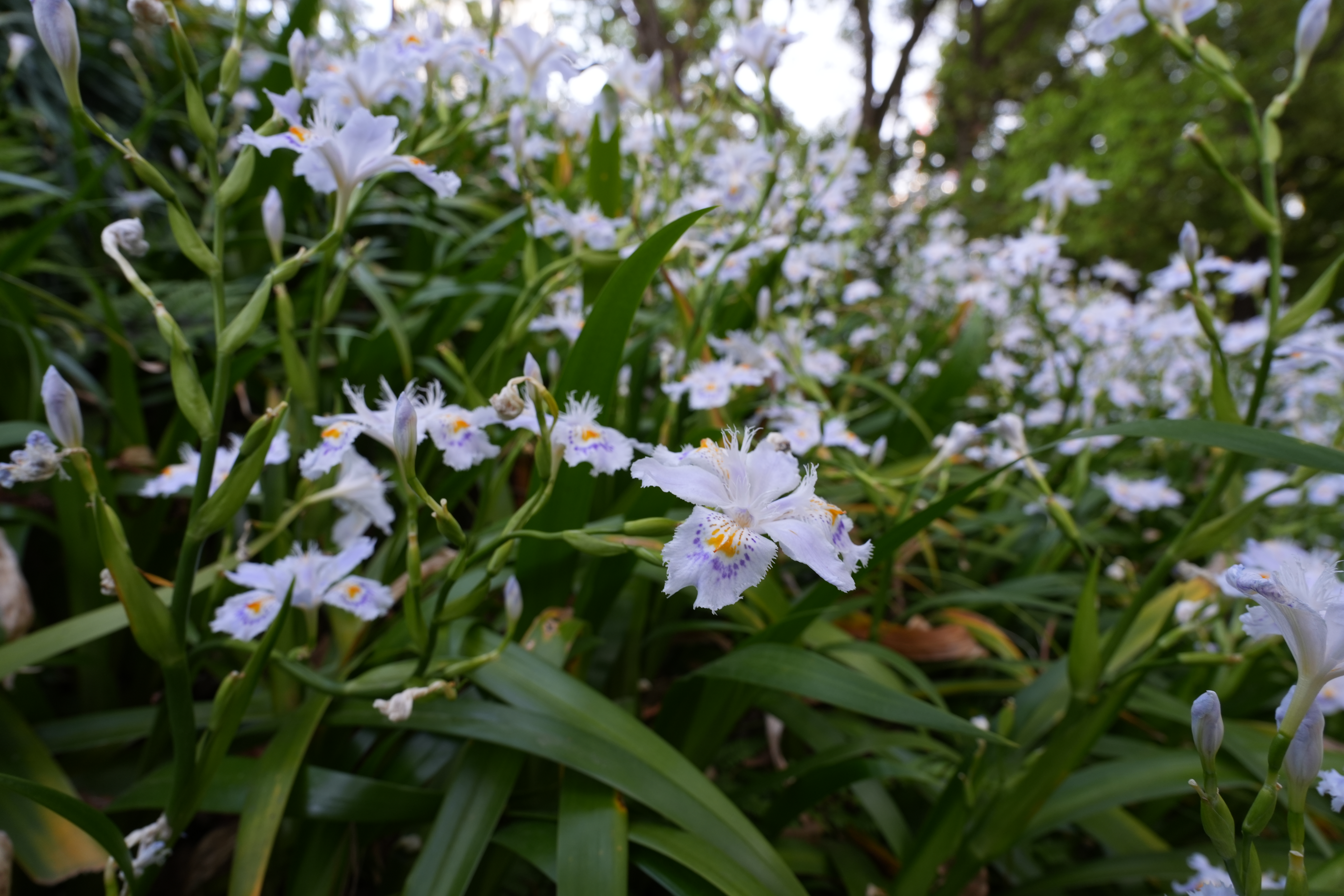 α7 IV／FE 20-70mm F4 G／20mm／絞り優先AE（1/60秒・F8.0・±0.0EV）／ISO 400