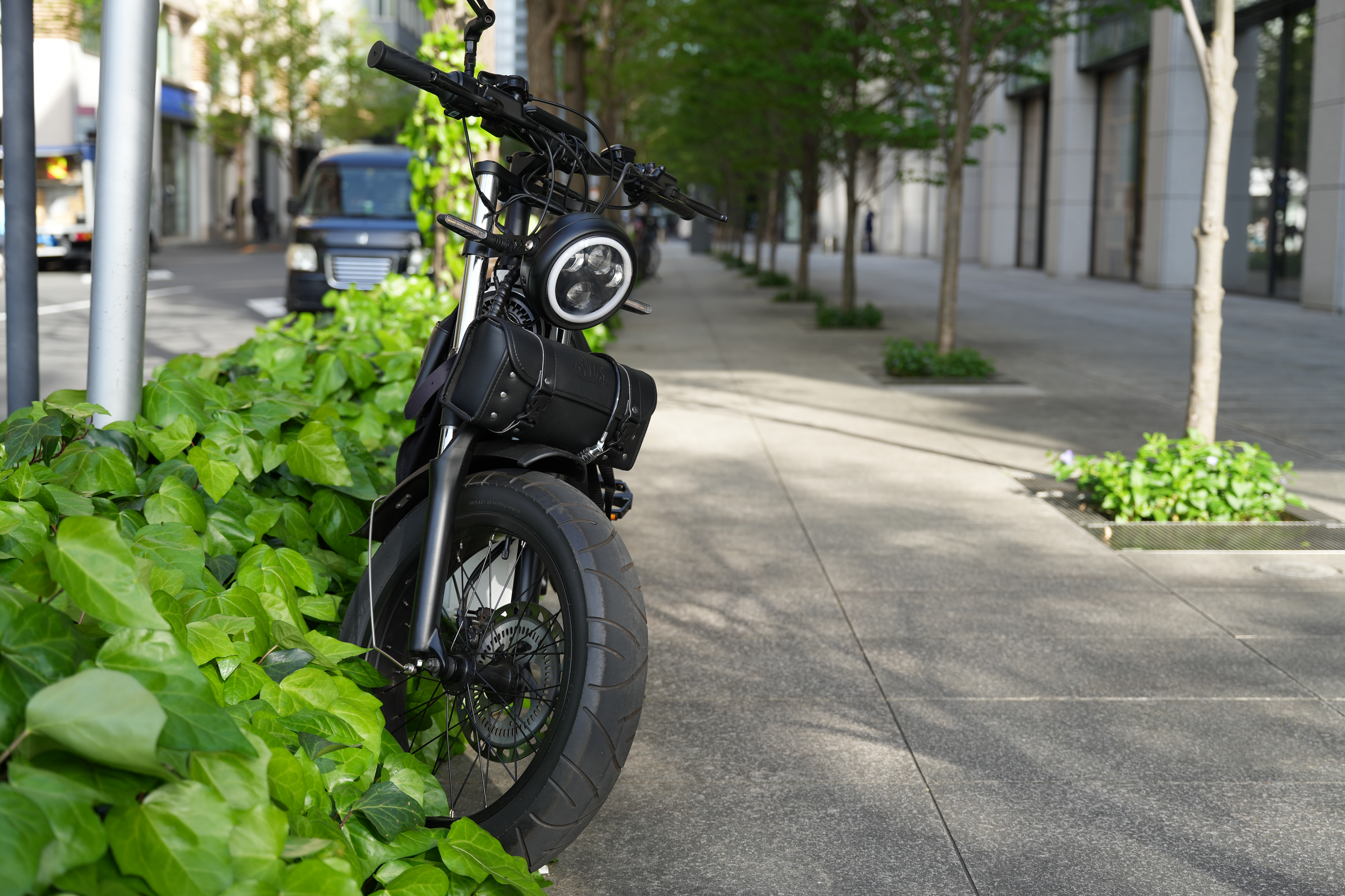 α7 IV／FE 20-70mm F4 G／50mm／絞り優先AE（1/160秒・F4.0・-0.3EV）／ISO 100