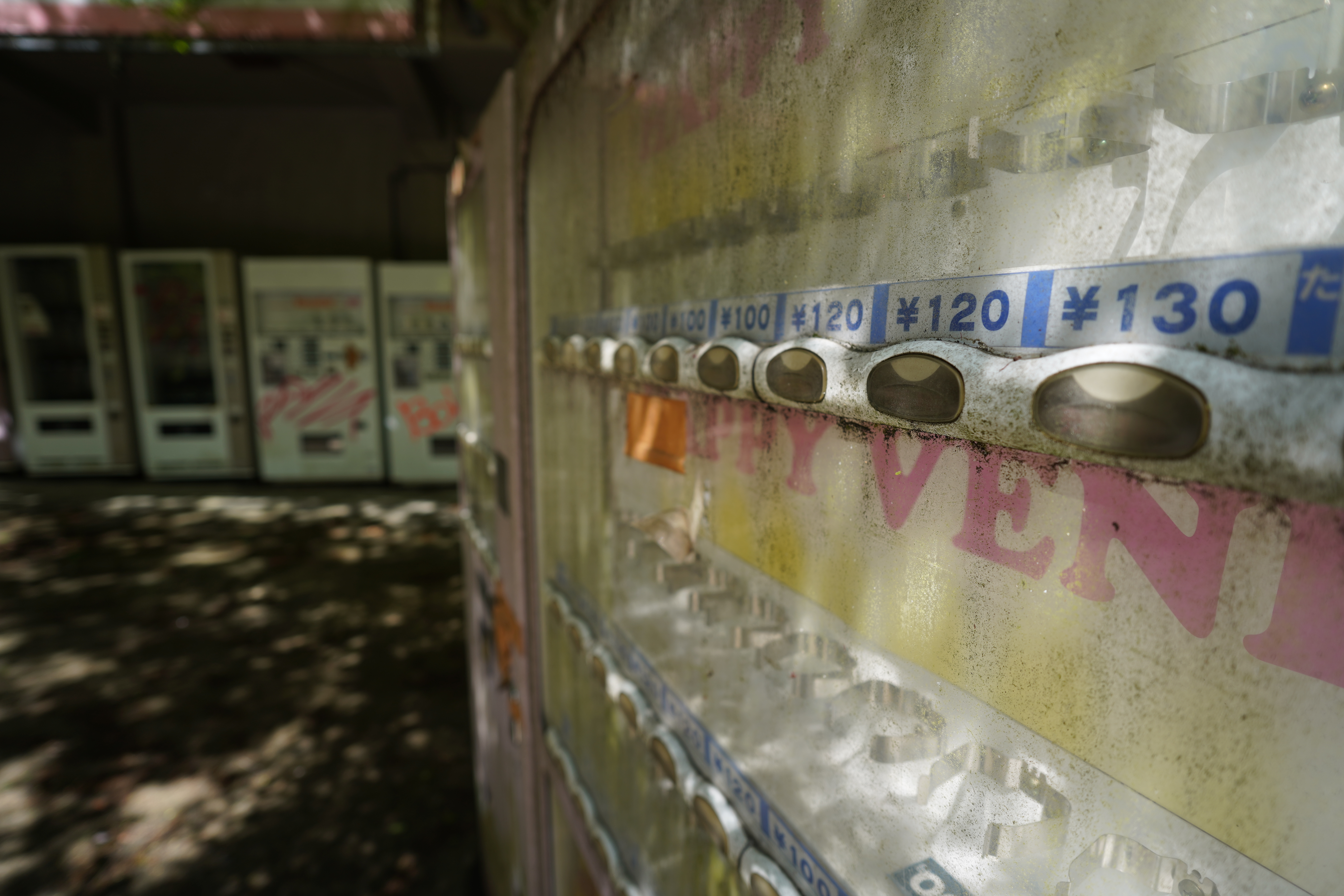 α7C／SIGMA 17mm F4 DG DN | Contemporary／絞り優先AE（1/250秒・F4.0・+0.3EV）／ISO 100