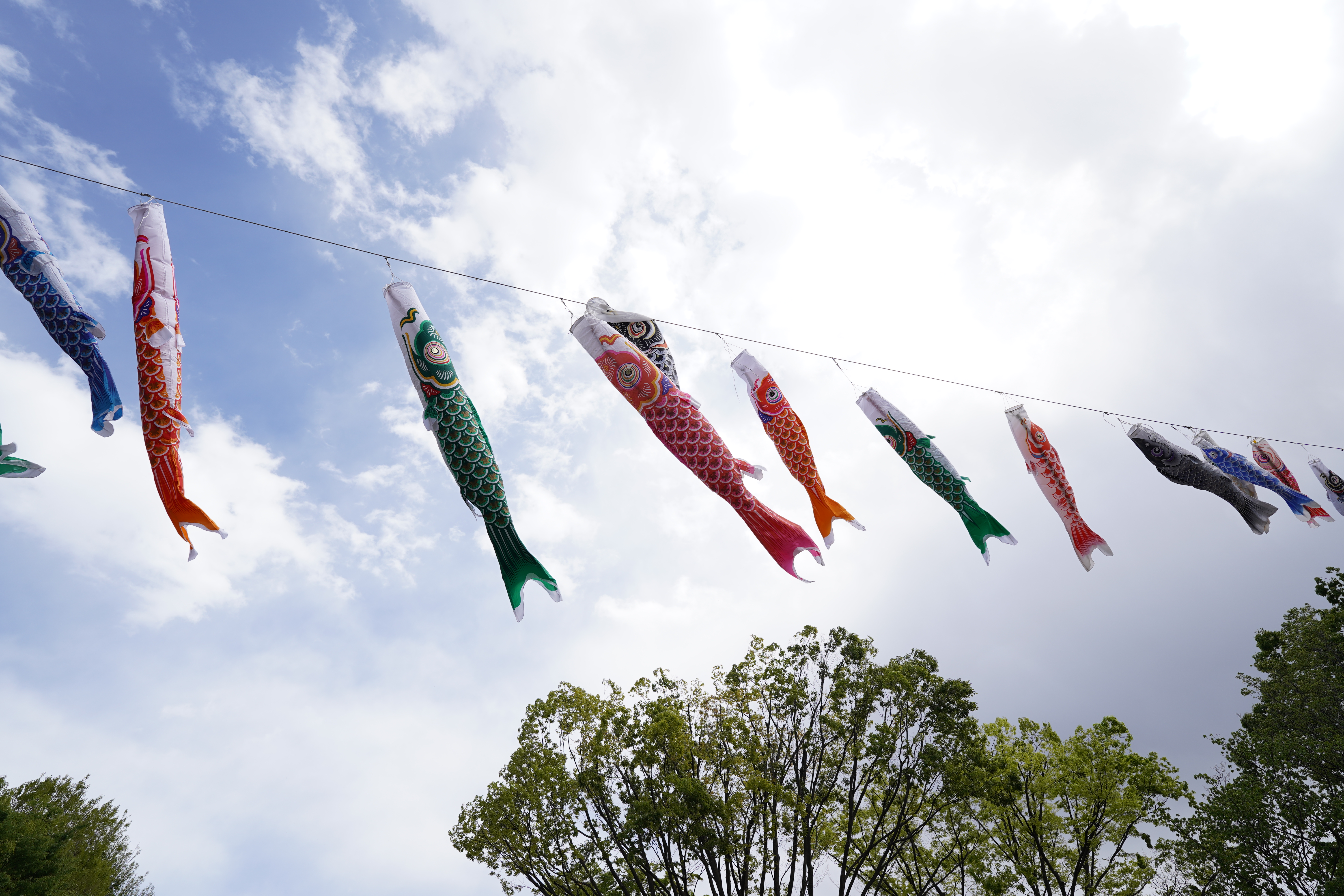 α7C／SIGMA 17mm F4 DG DN | Contemporary／絞り優先AE（1/200秒・F8.0・±1.7EV）／ISO 100