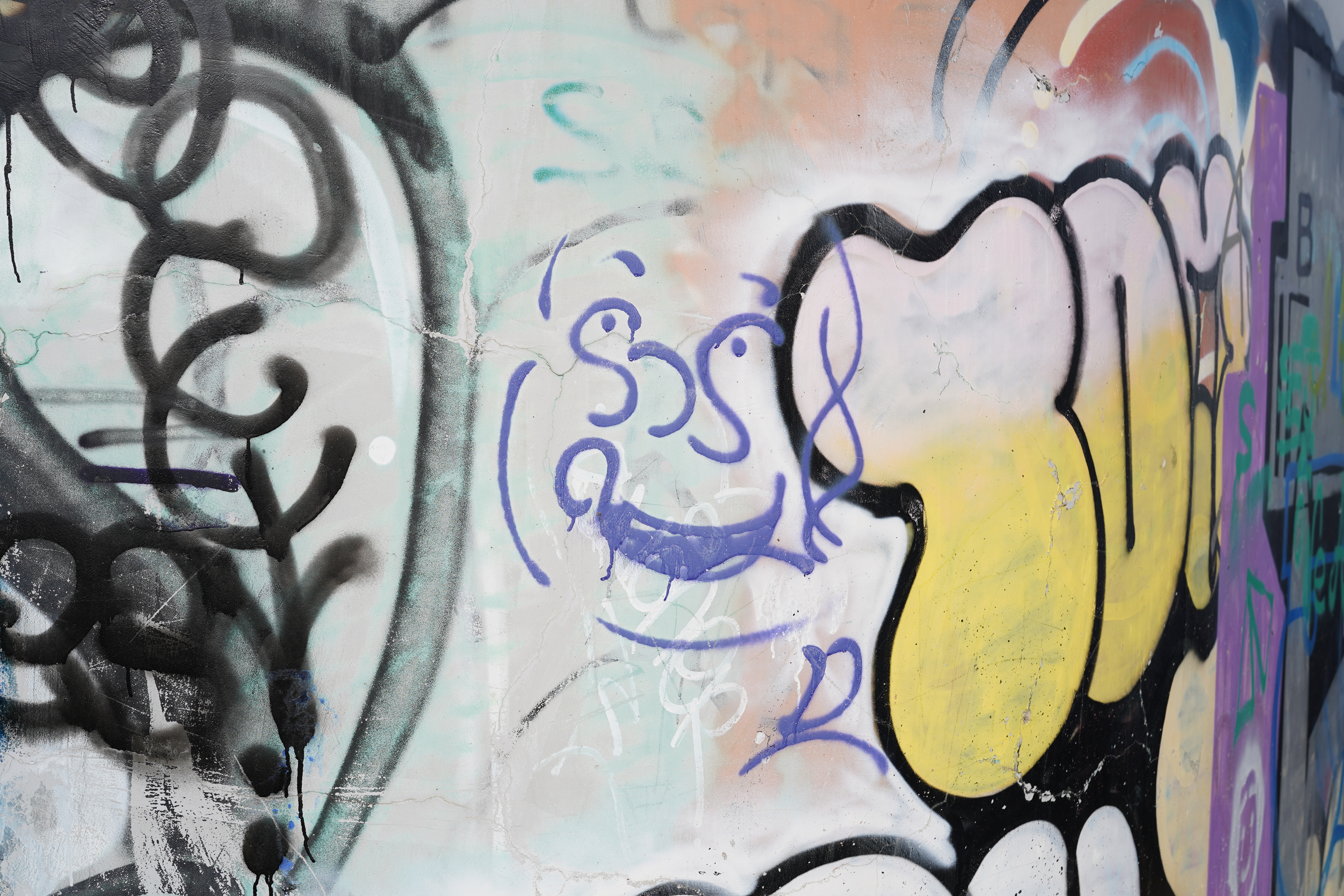 α7C／SIGMA 50mm F2 DG DN | Contemporary／絞り優先AE（1/800秒・F5.6・+0.7EV）／ISO 100